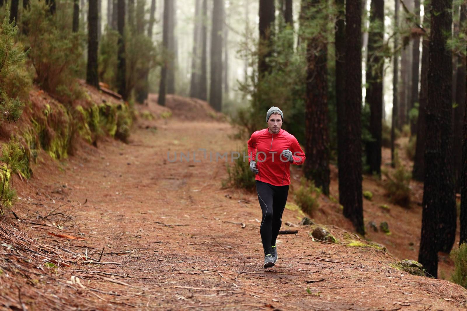 Man running in forest woods training and exercising for trail run marathon endurance race. Fitness healthy lifestyle concept with male athlete trail runner.