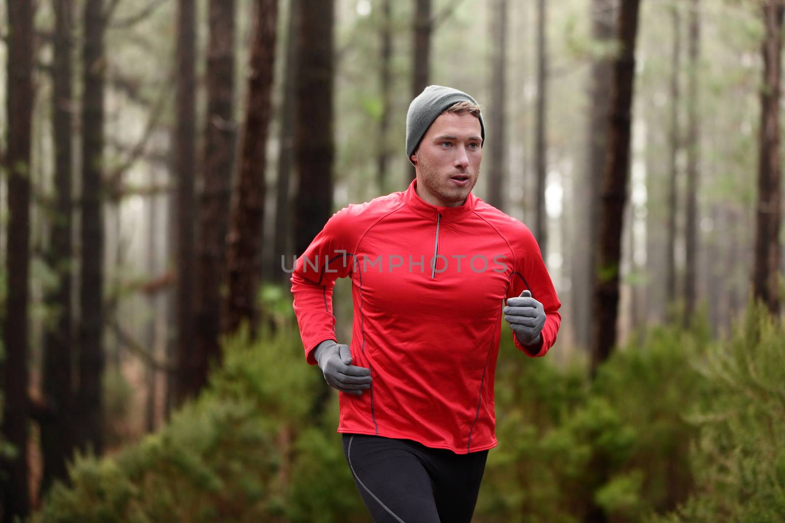 Running man in forest woods training and exercising for trail run marathon endurance race. Fitness healthy lifestyle concept with male athlete trail runner.