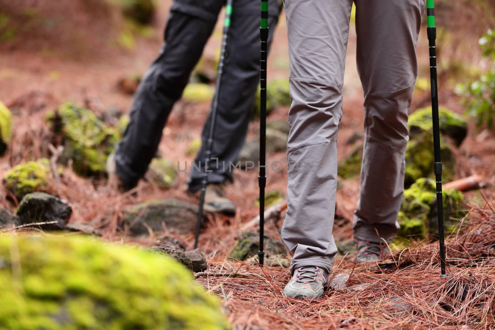 Hiking - Hikers walking in forest with hiking sticks on path trail in mountains. Close up of hiking shoes and boots. Man and woman hiking together.