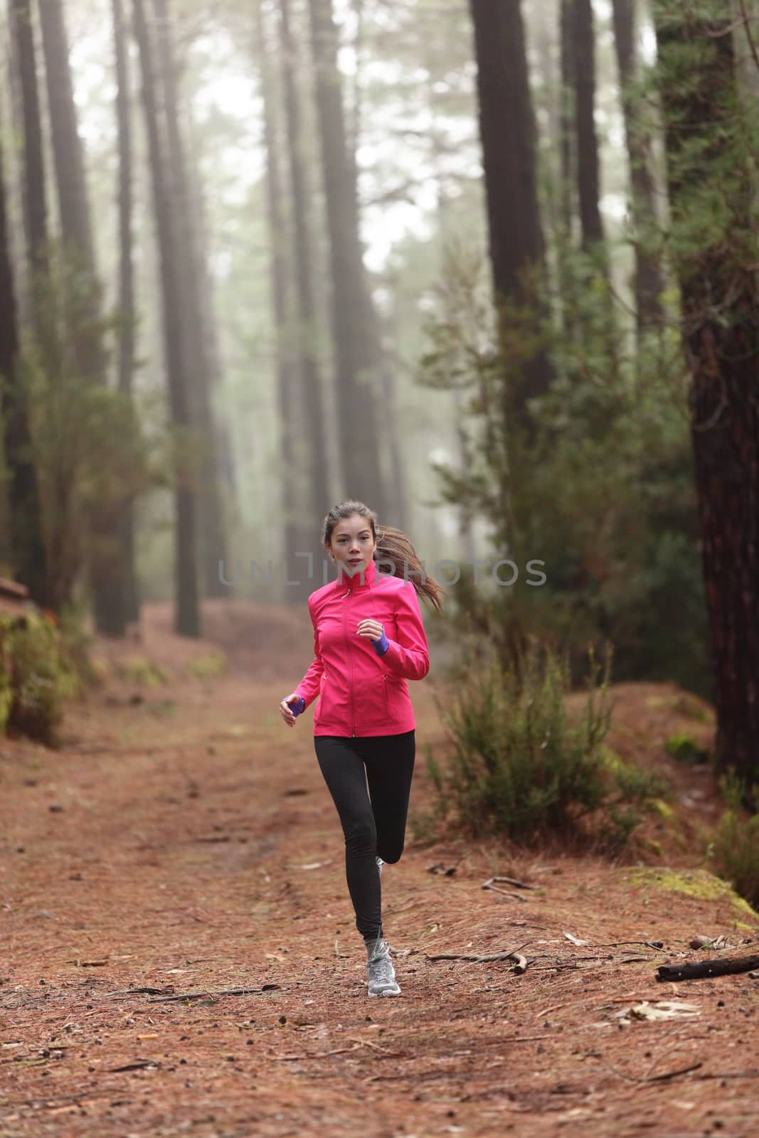 Running woman in forest woods training and exercising for trail run marathon endurance race. Fitness healthy lifestyle concept with female athlete trail runner.