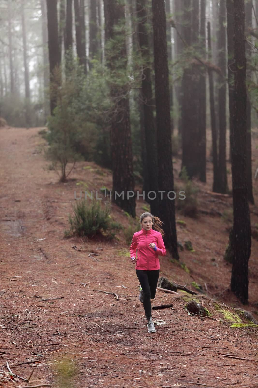 Woman running in forest woods training and exercising for trail run marathon endurance race. Fitness healthy lifestyle concept with female athlete trail runner.
