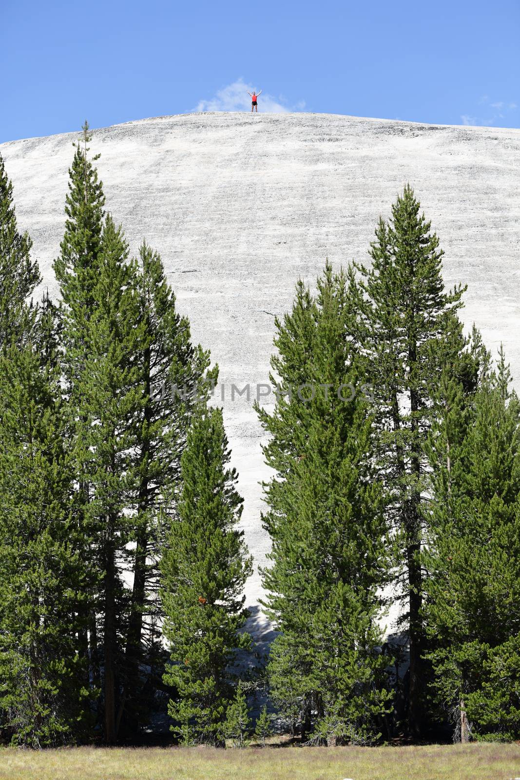 Hiker reaching summit very far away standing on top of the mountain in Yosemite National Park landscape scenery, the Pothole Dome, California, USA. Man hiking funny showing strong success pose.