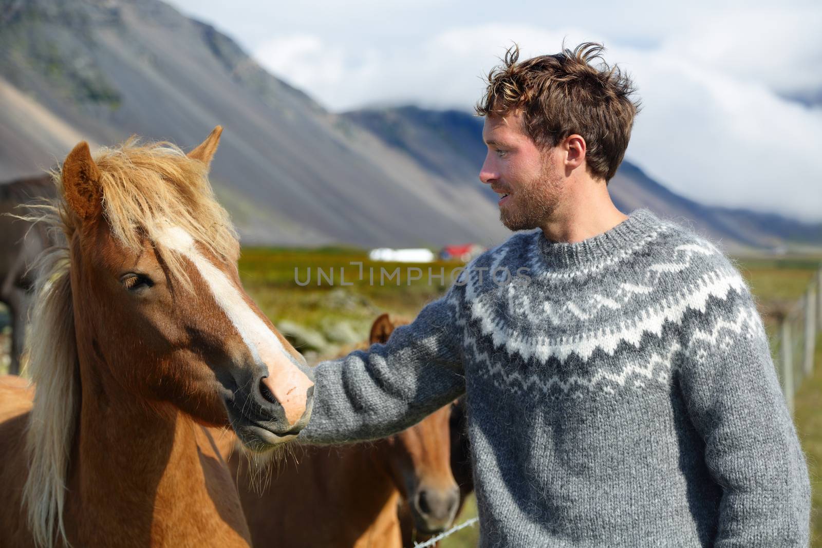 Icelandic horses - man petting horse on Iceland by Maridav