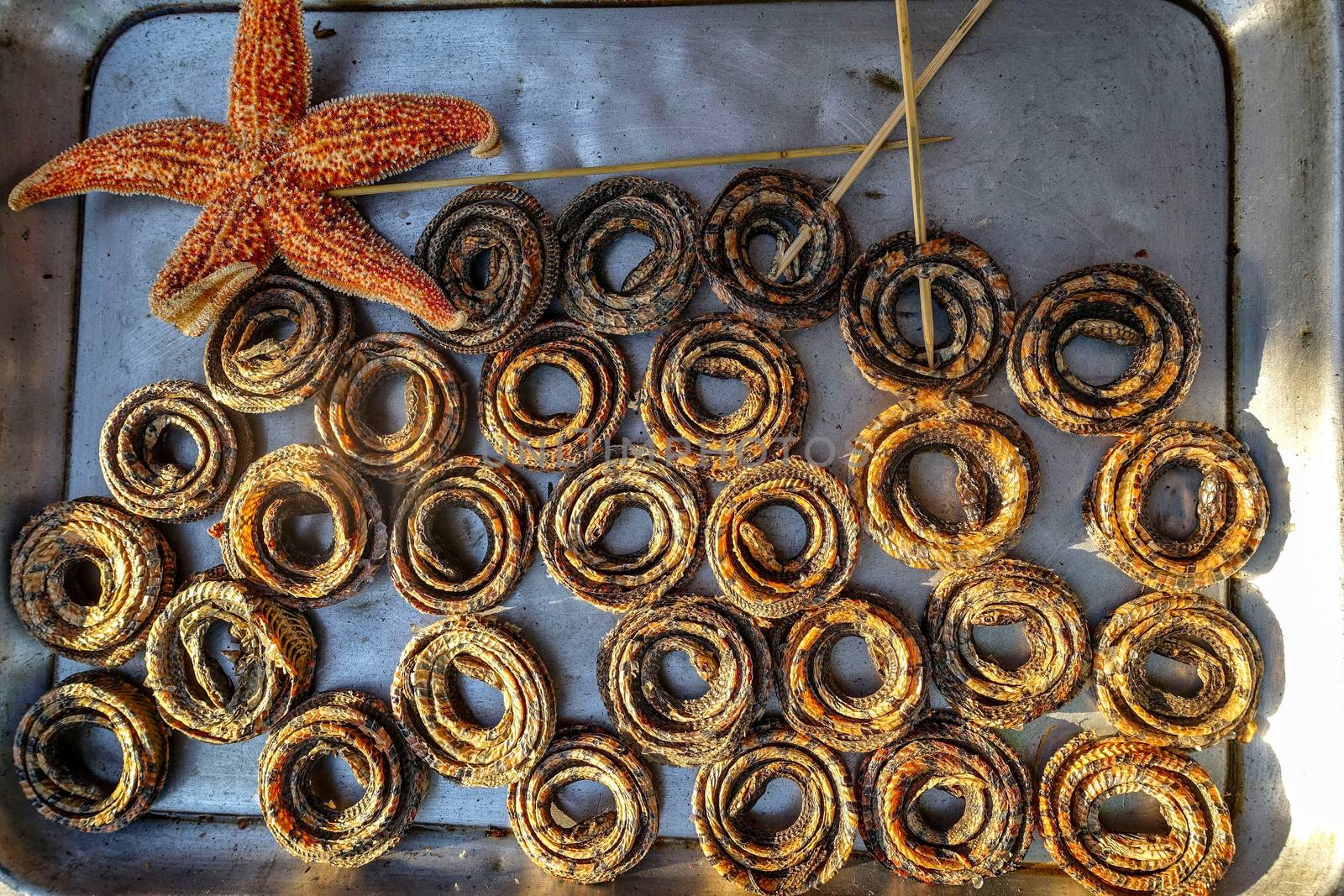 Close up of some snakes on sale on a food market in China.