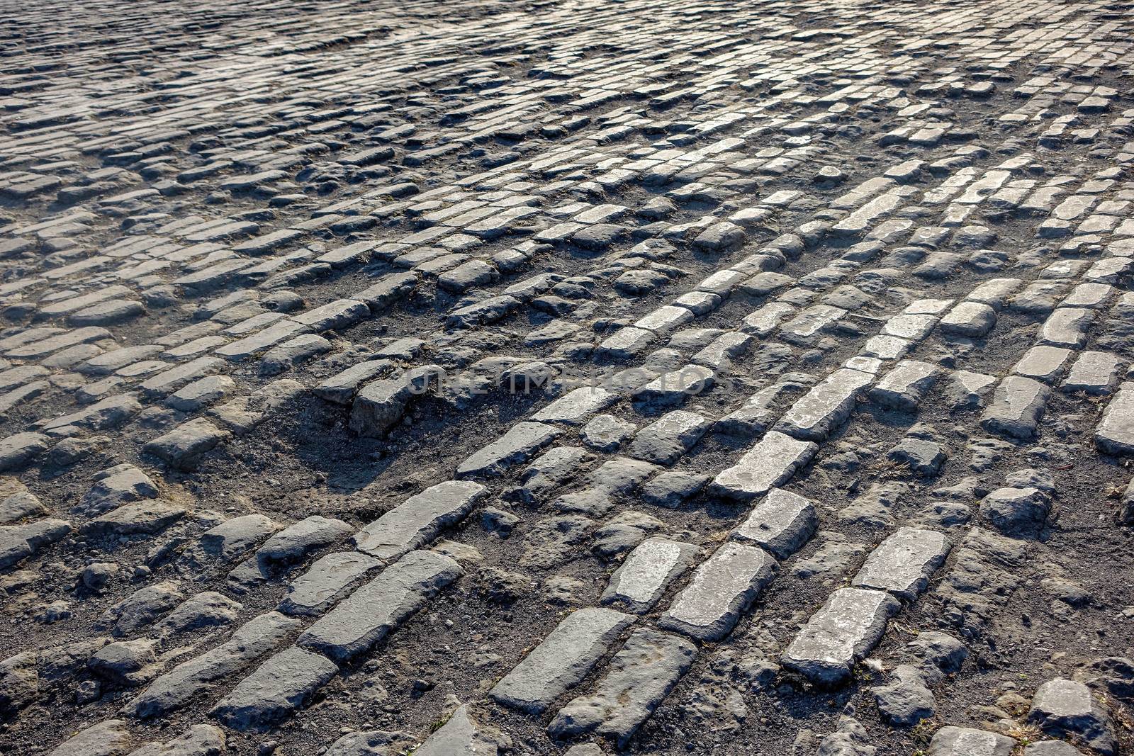 Brick field - Forbidden City, Beijing, China