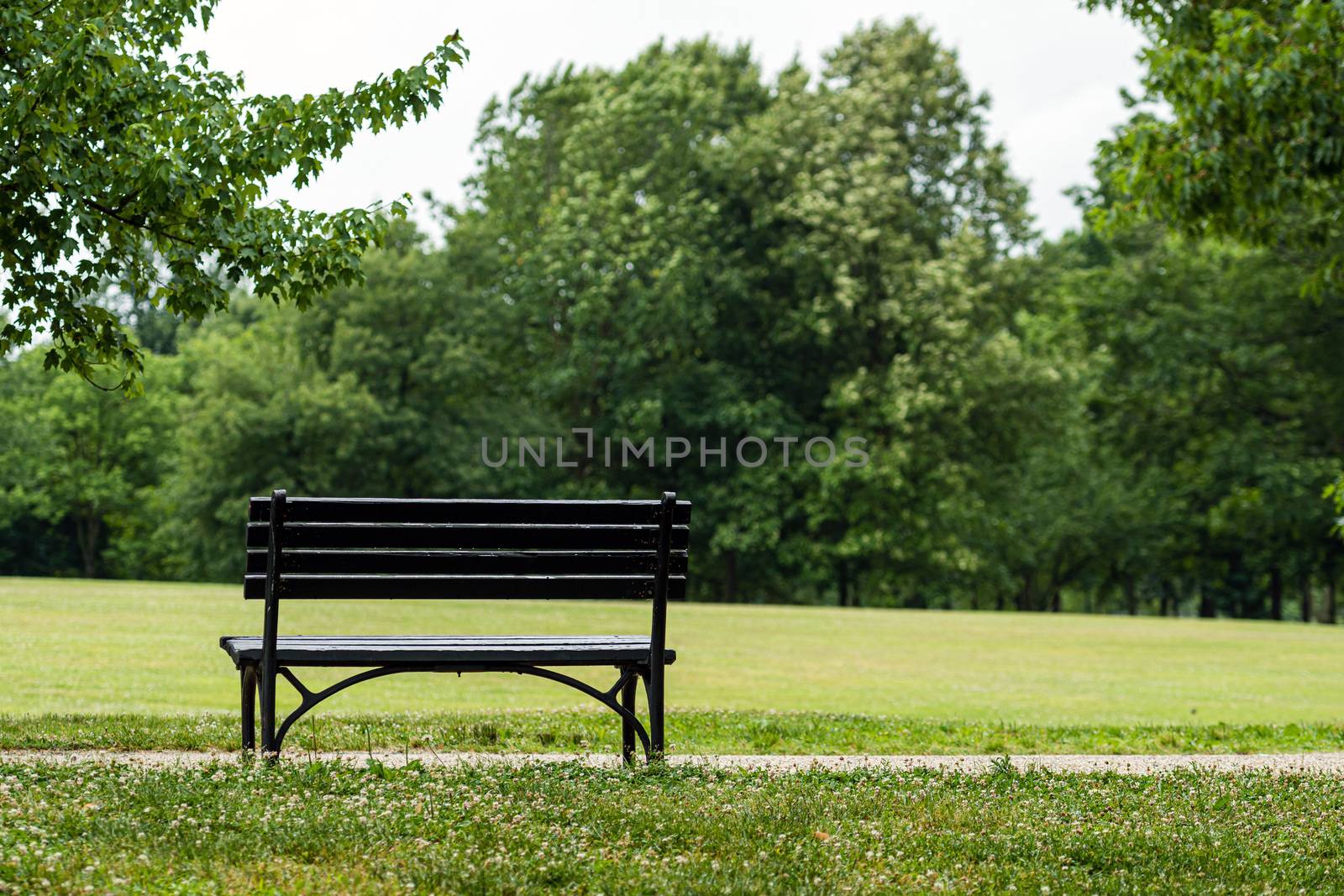 Bench in the park, at the foot of the pedestrian path. Rear view.