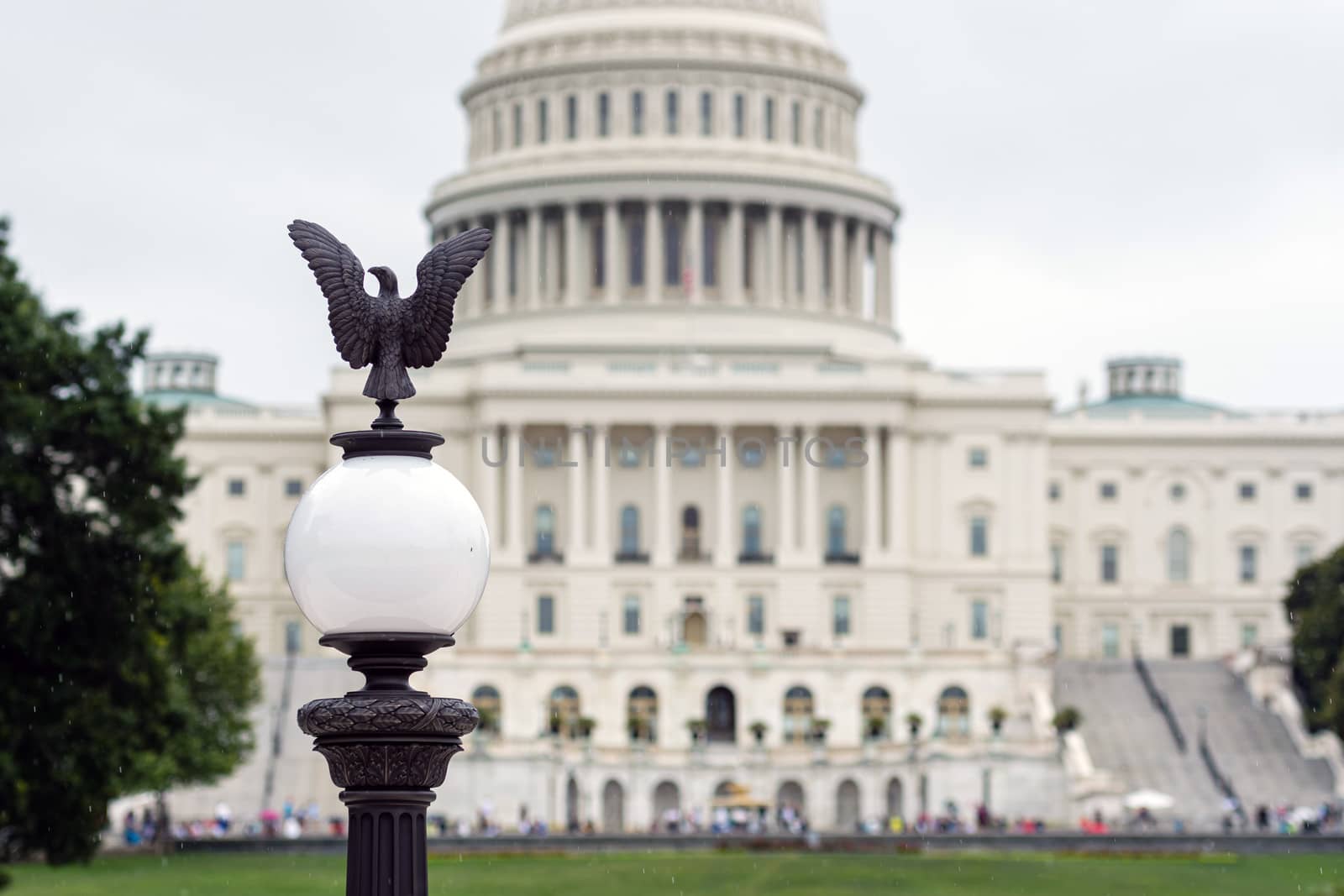 Lantern with an eagle and blurred view of the Capitol building from the back