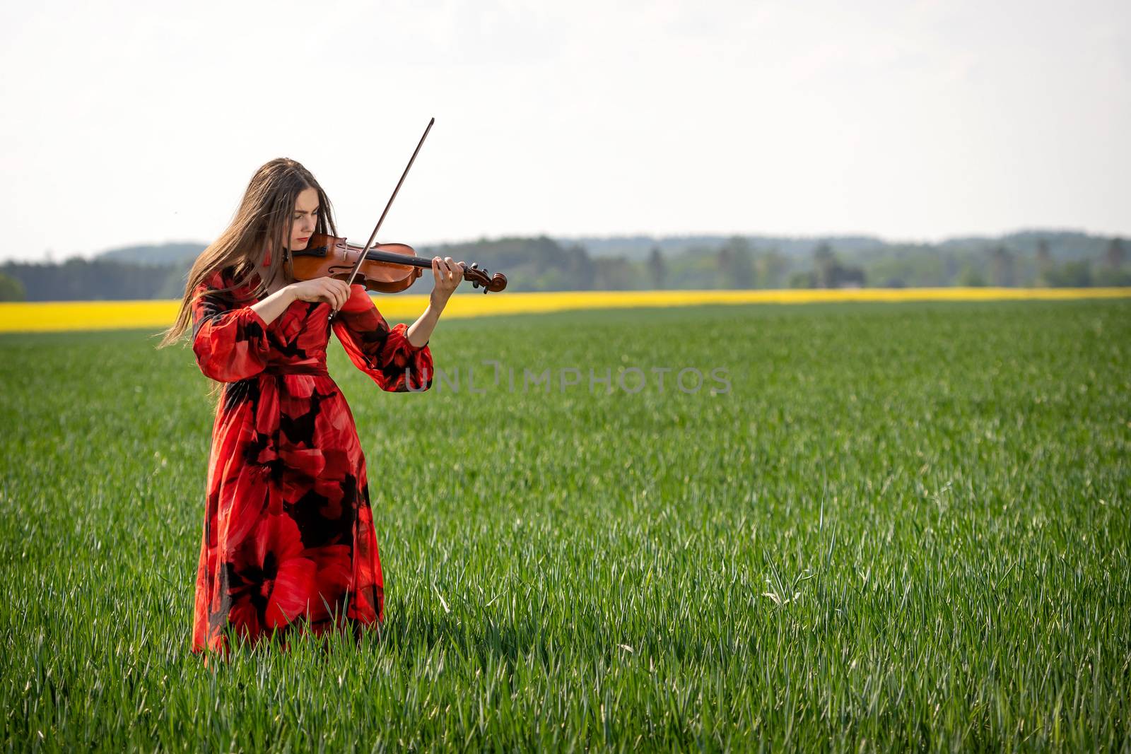 Young woman in red dress playing violin in green meadow.