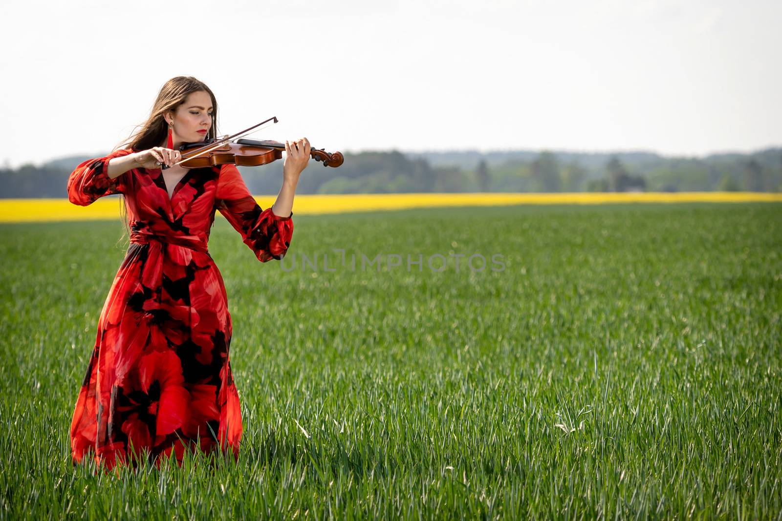 Young woman in red dress playing violin in green meadow.