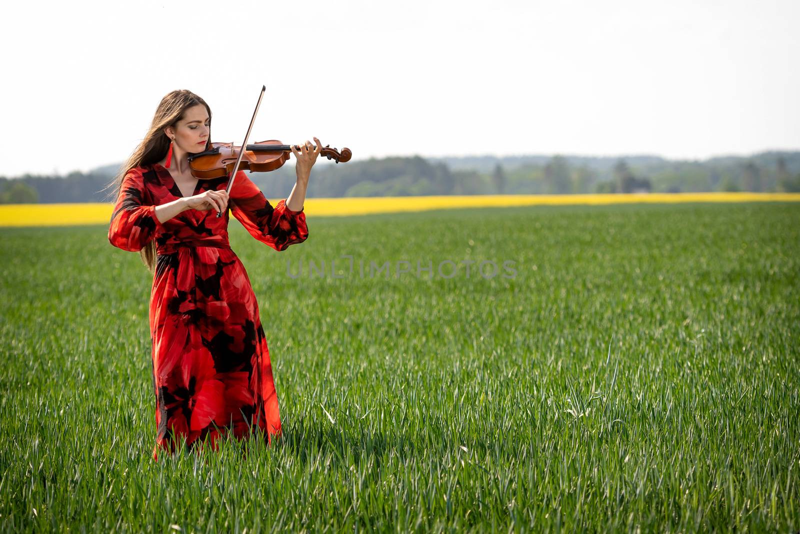 Young woman in red dress playing violin in green meadow.