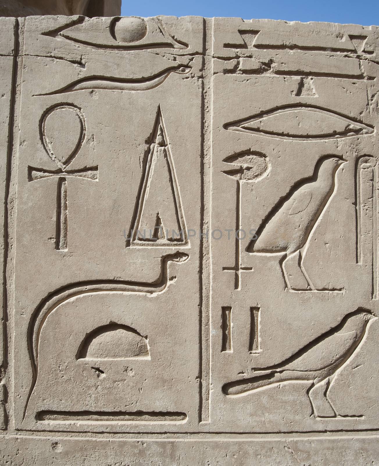 Egyptian hieroglyphic carvings on wall by paulvinten