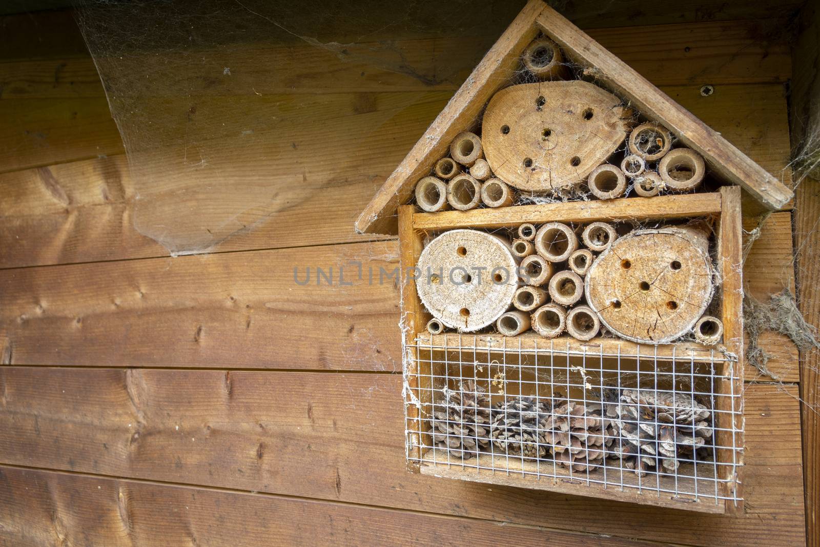 insect and bee hotel and shelter mounted on wooden wall in the garden
