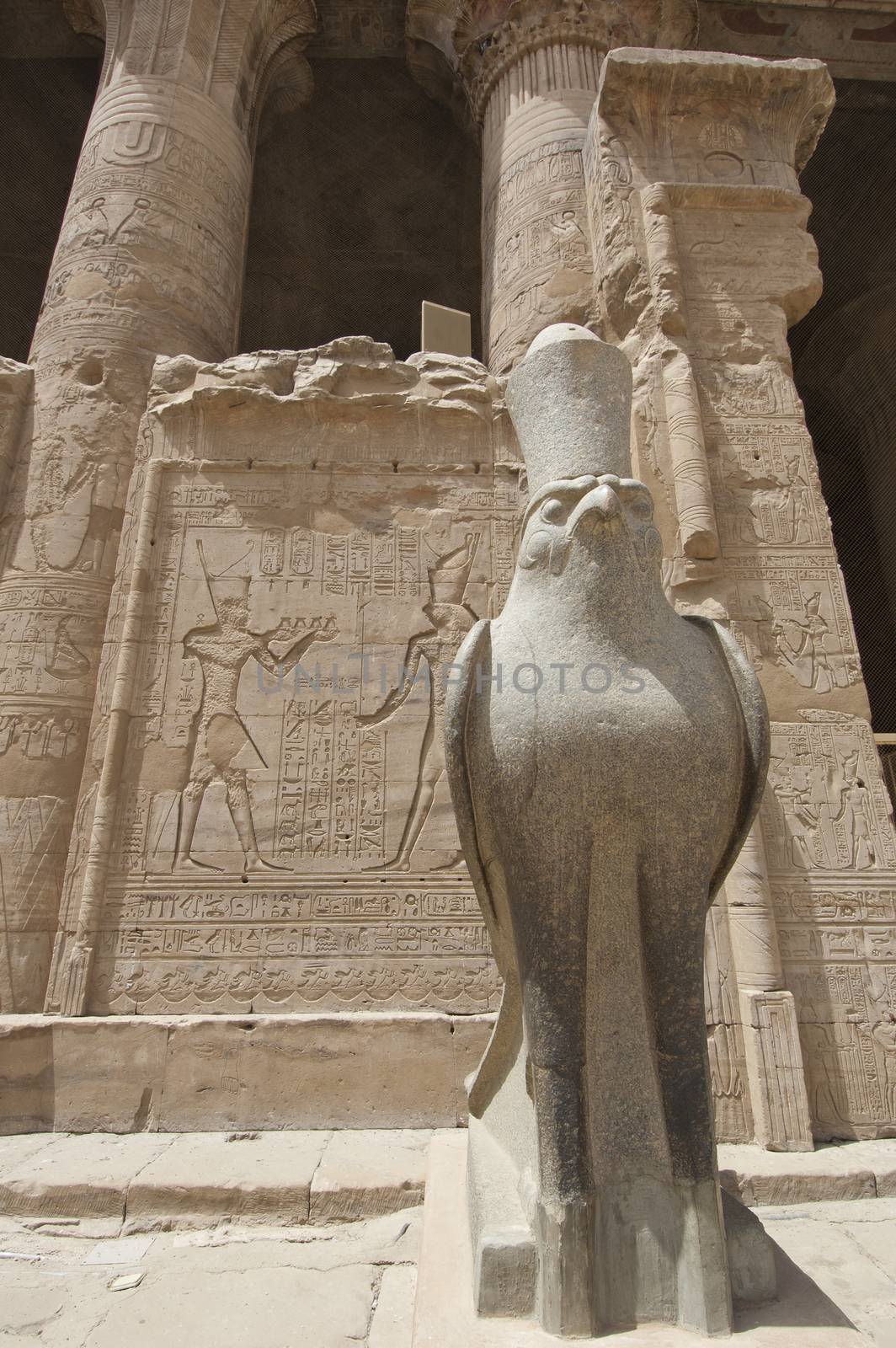Statue of the falcon god at the Temple of Edfu by paulvinten