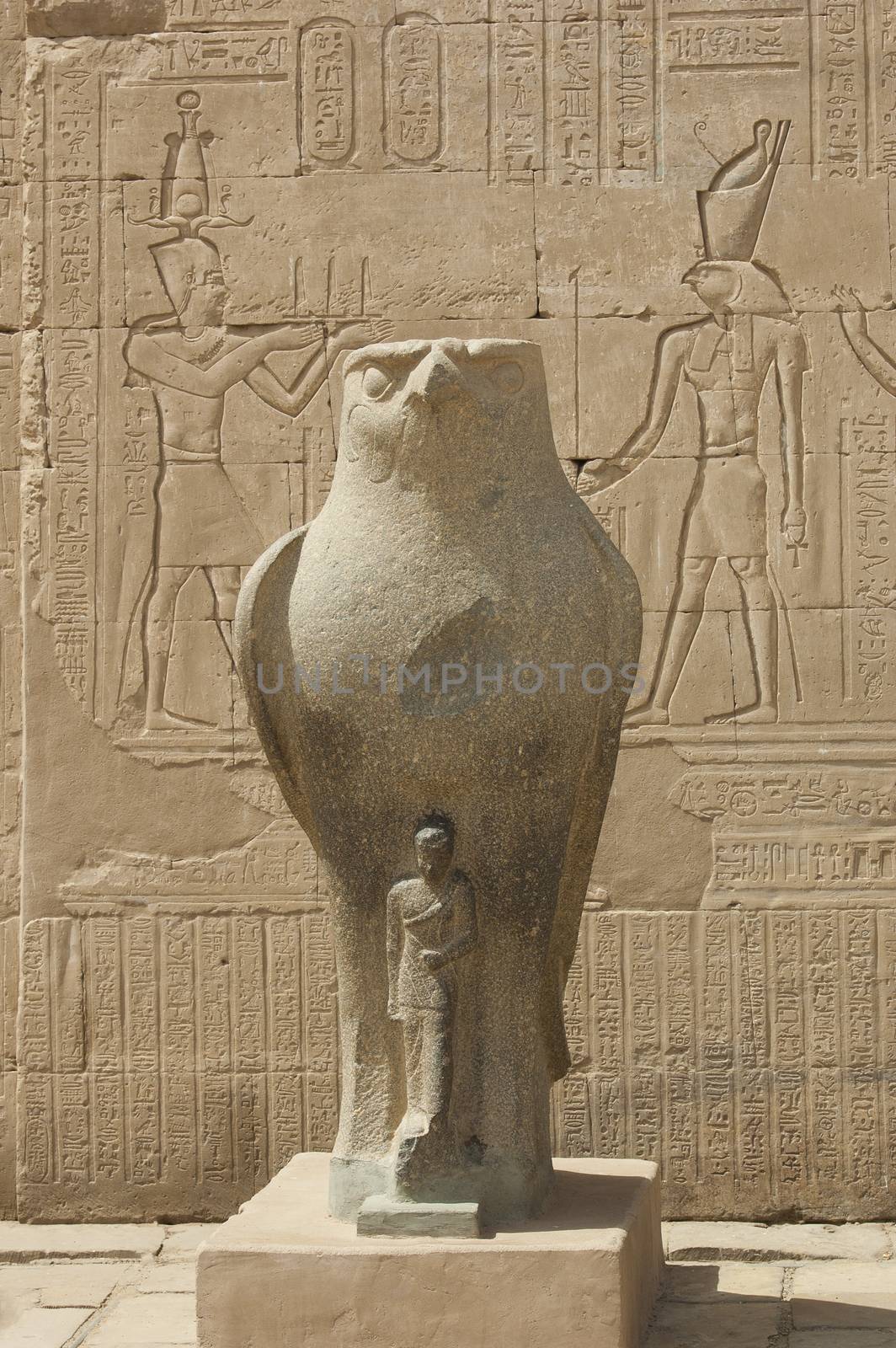 Large statue of the falcon god with hieroglyphics on wall at Edfu Temple