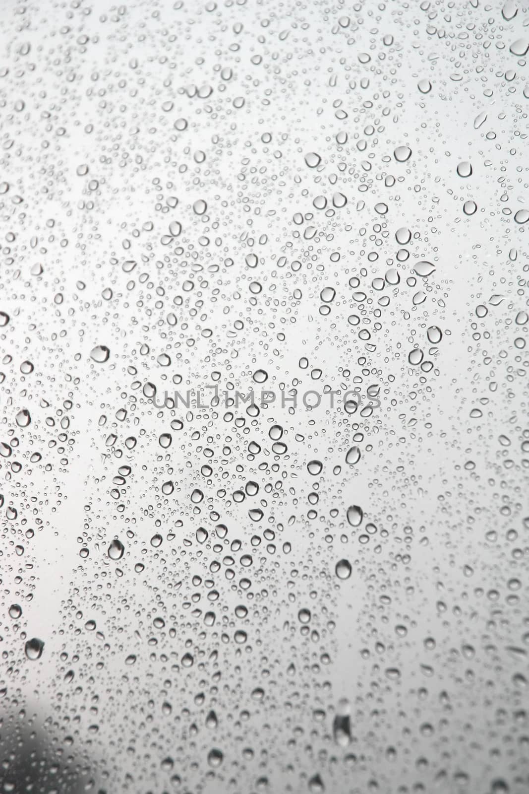 Drops of rain on the inclined window (glass). Shallow DOF