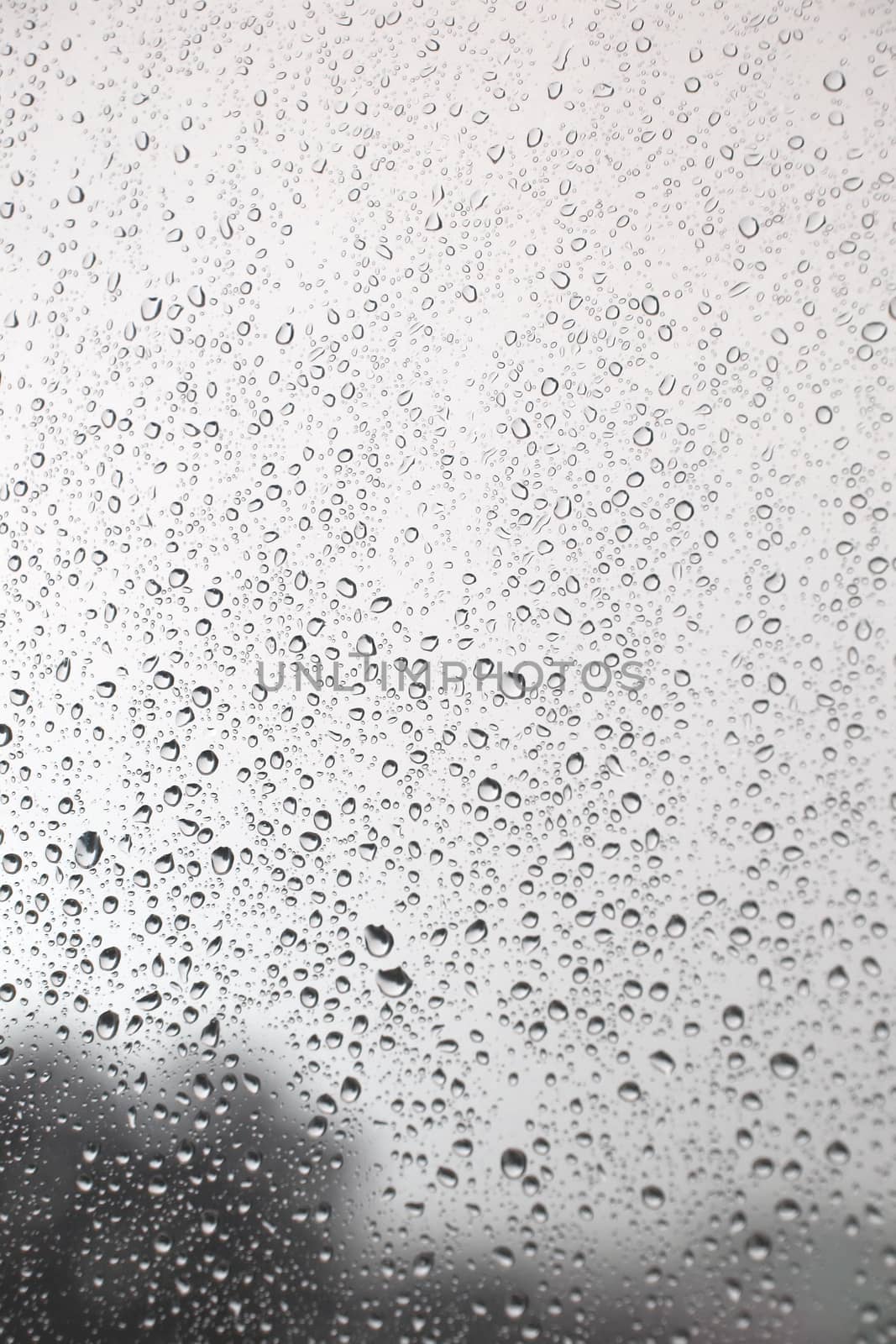 Drops of rain on the inclined window (glass). Shallow DOF