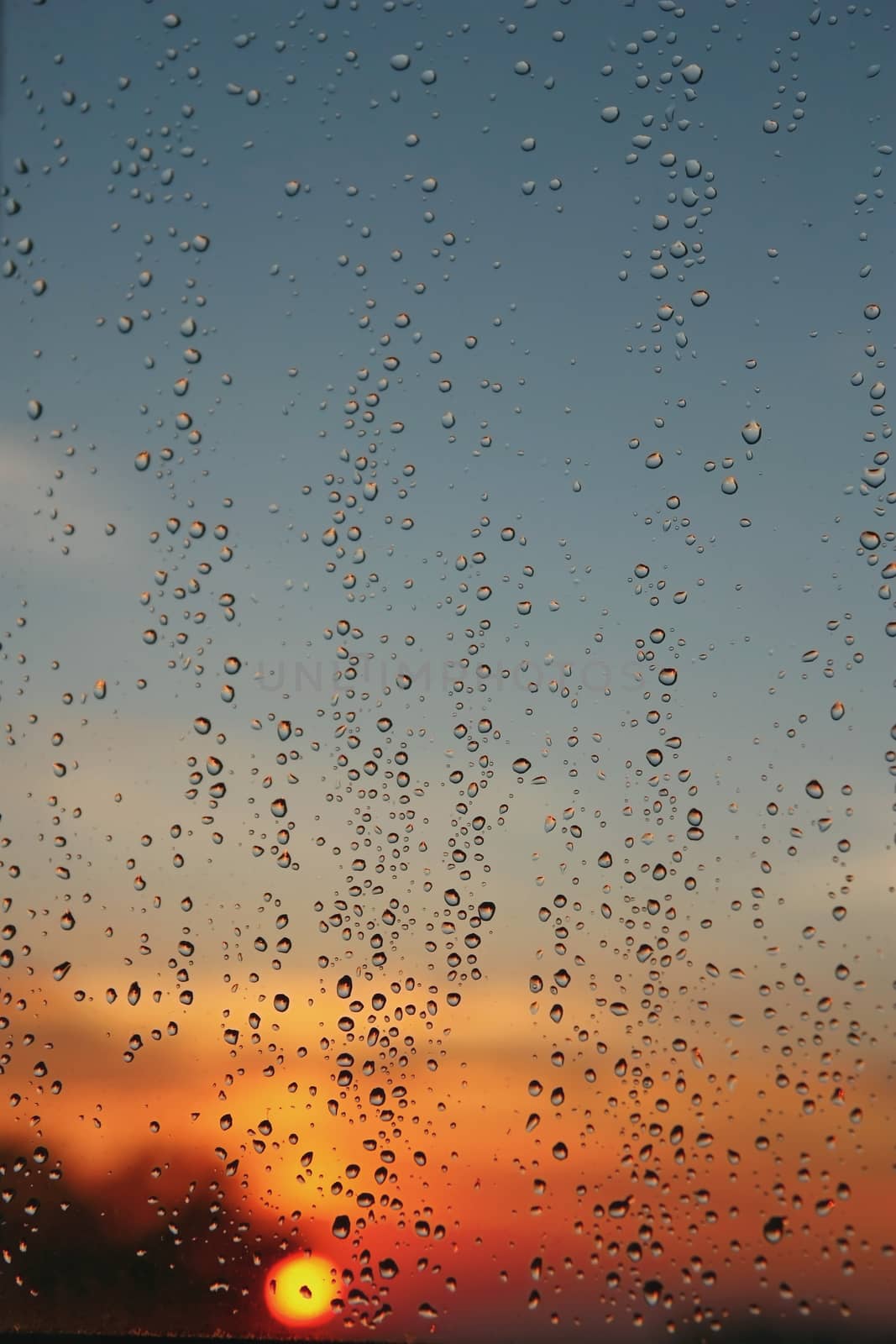 Drops of rain on the window (glass). Shallow DOF.