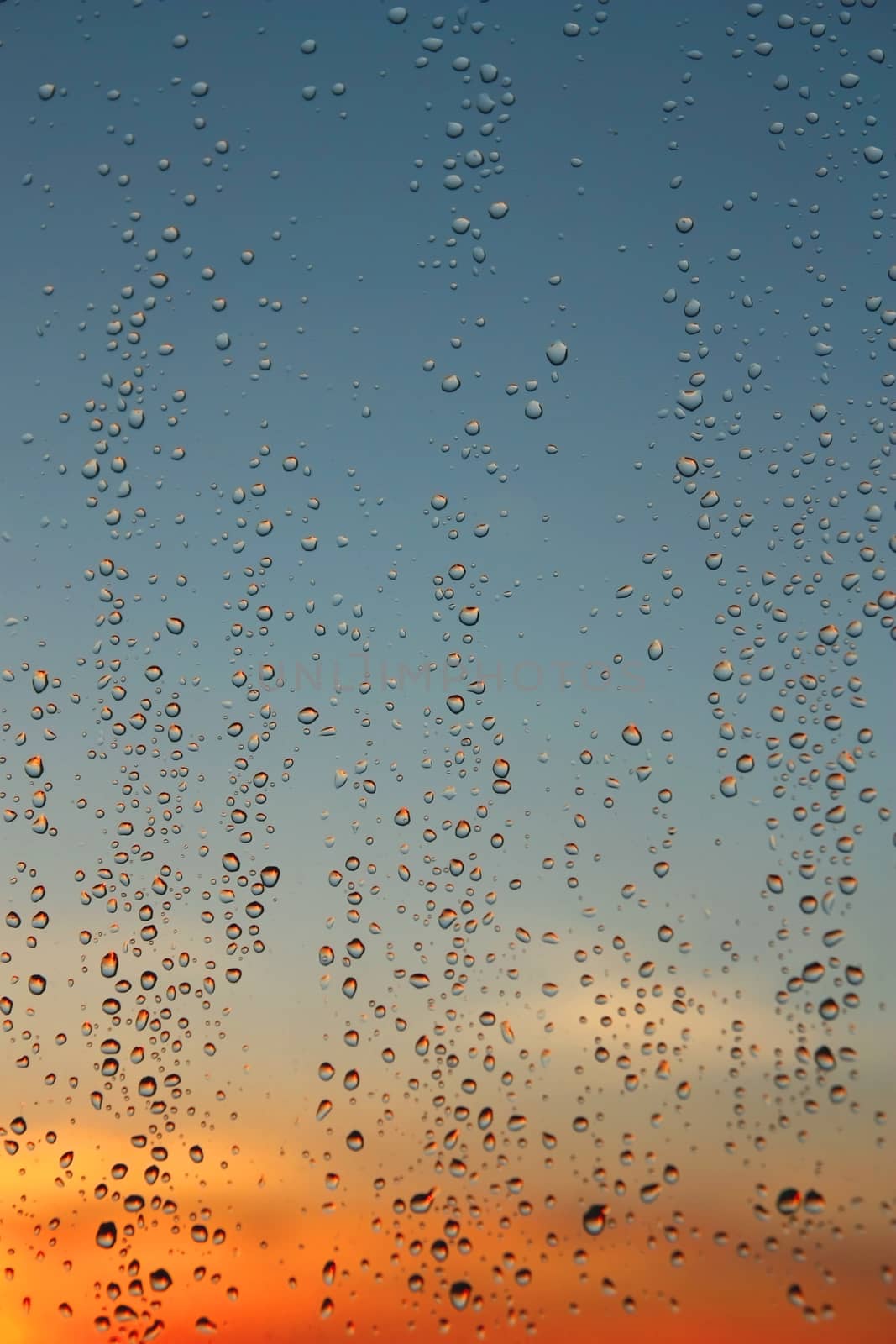 Drops of rain on the window (glass). Shallow DOF.