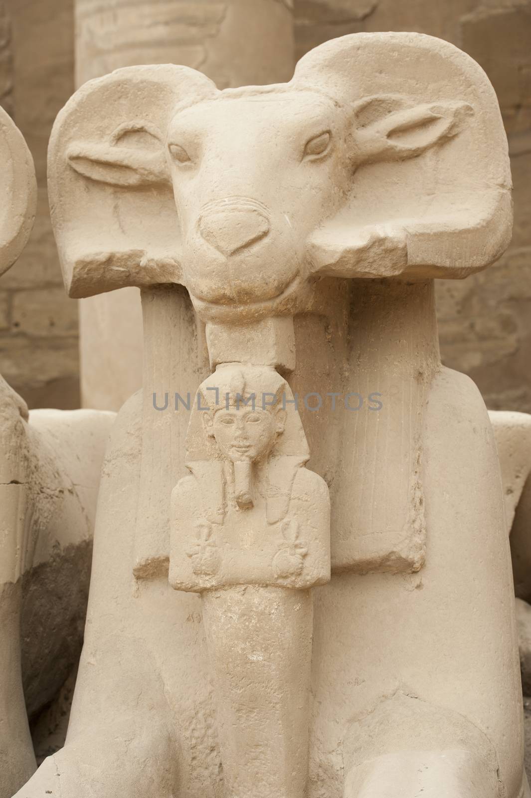 Ram headed sphinx at Karnak Temple in Luxor