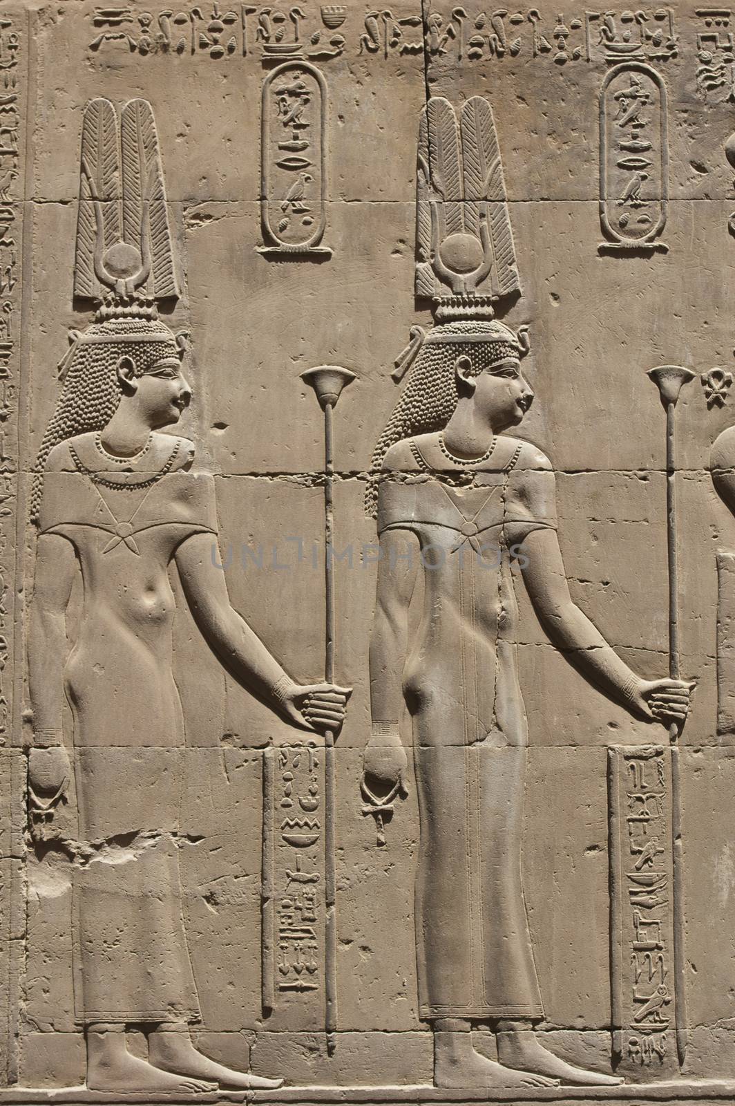 Egyptian hieroglyphic carvings on a wall at the Temple of Kom Ombo