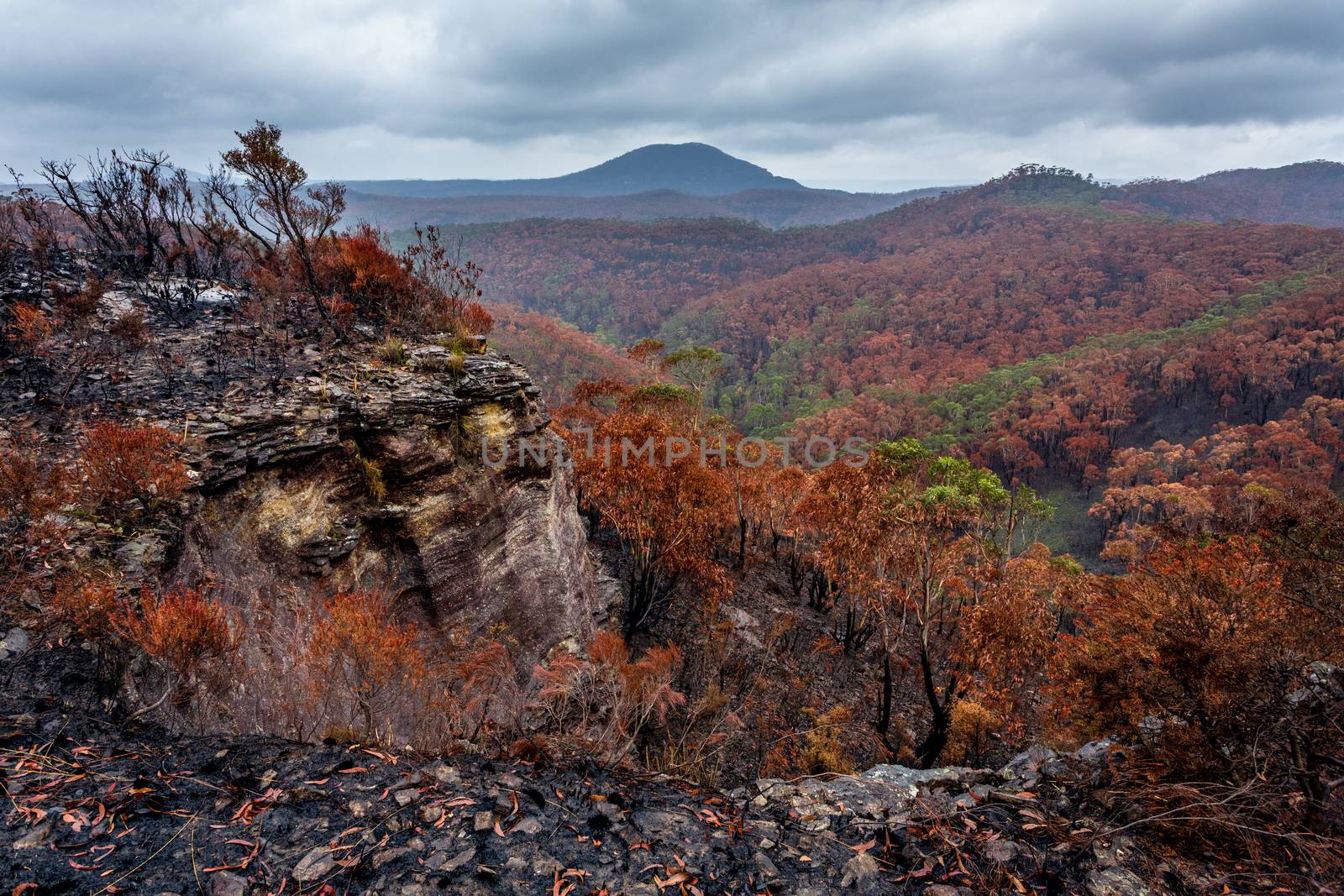 Landscape views after bush fires destroyed bush land in Blue Mountains.  Vistas of mountains and valleys with burnt and unburnt areas