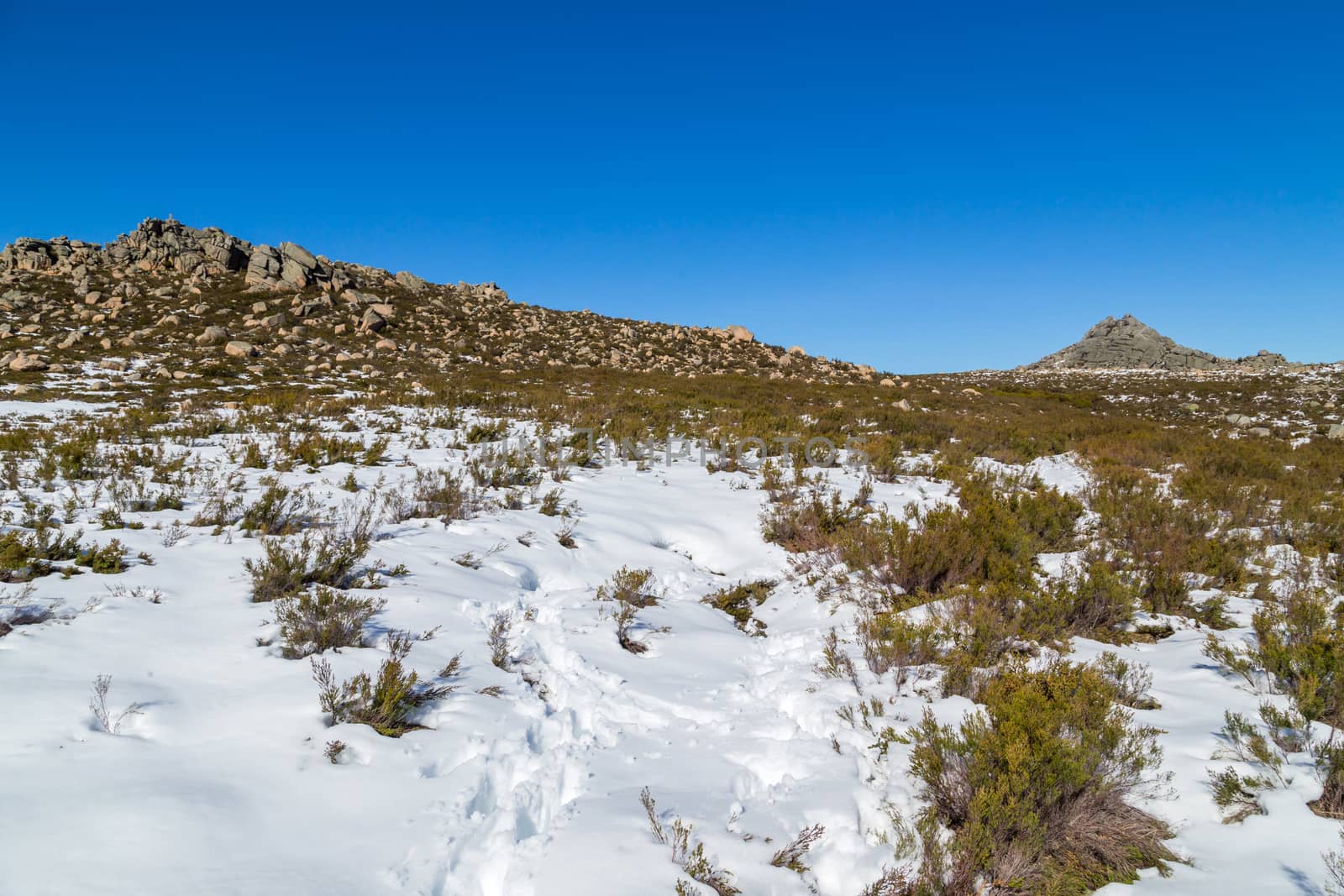 Winter landscape with snow in mountains of Serra do Xures natural park, Galicia, Spain