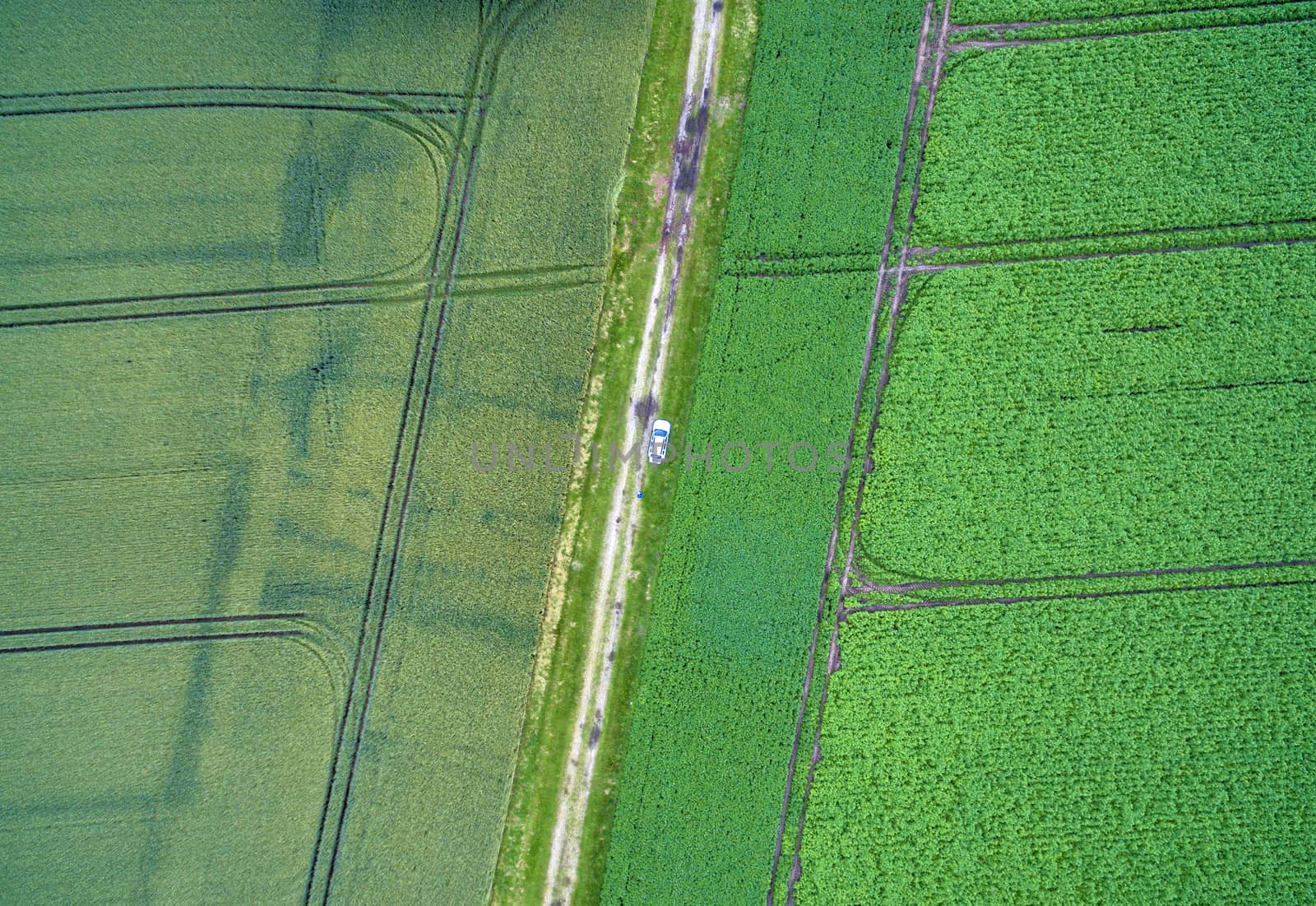 Aerial view of a path between two arable land with a car in the middle, taken at an abstract angle from a height of 100 metres by geogif