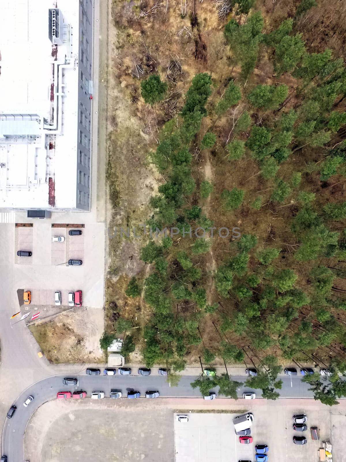 Aerial view from the edge of a factory building next to a light pine forest, vertical view, made with drone