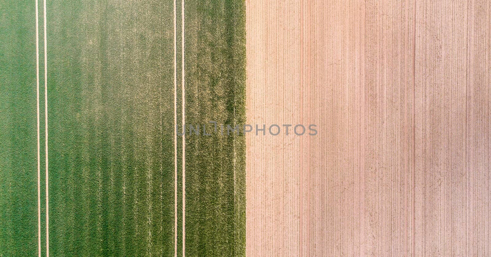 Vertical aerial view of a field with green sprouting young vegetation and a yellow ungreen field surface, abstract impression, texture and background