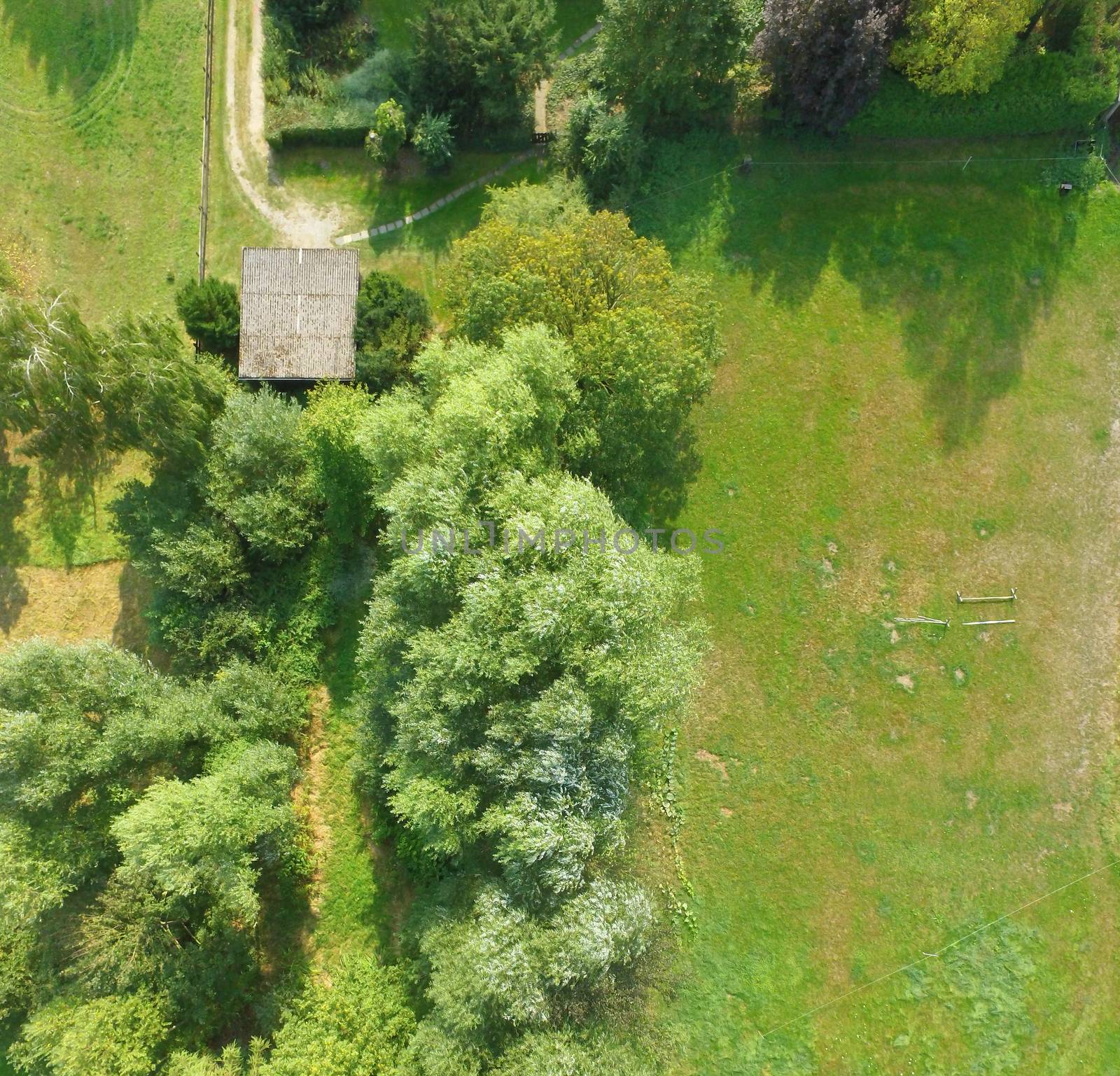Aerial view of a meadow bordering a lawn, with a shed and several bushes and trees by geogif