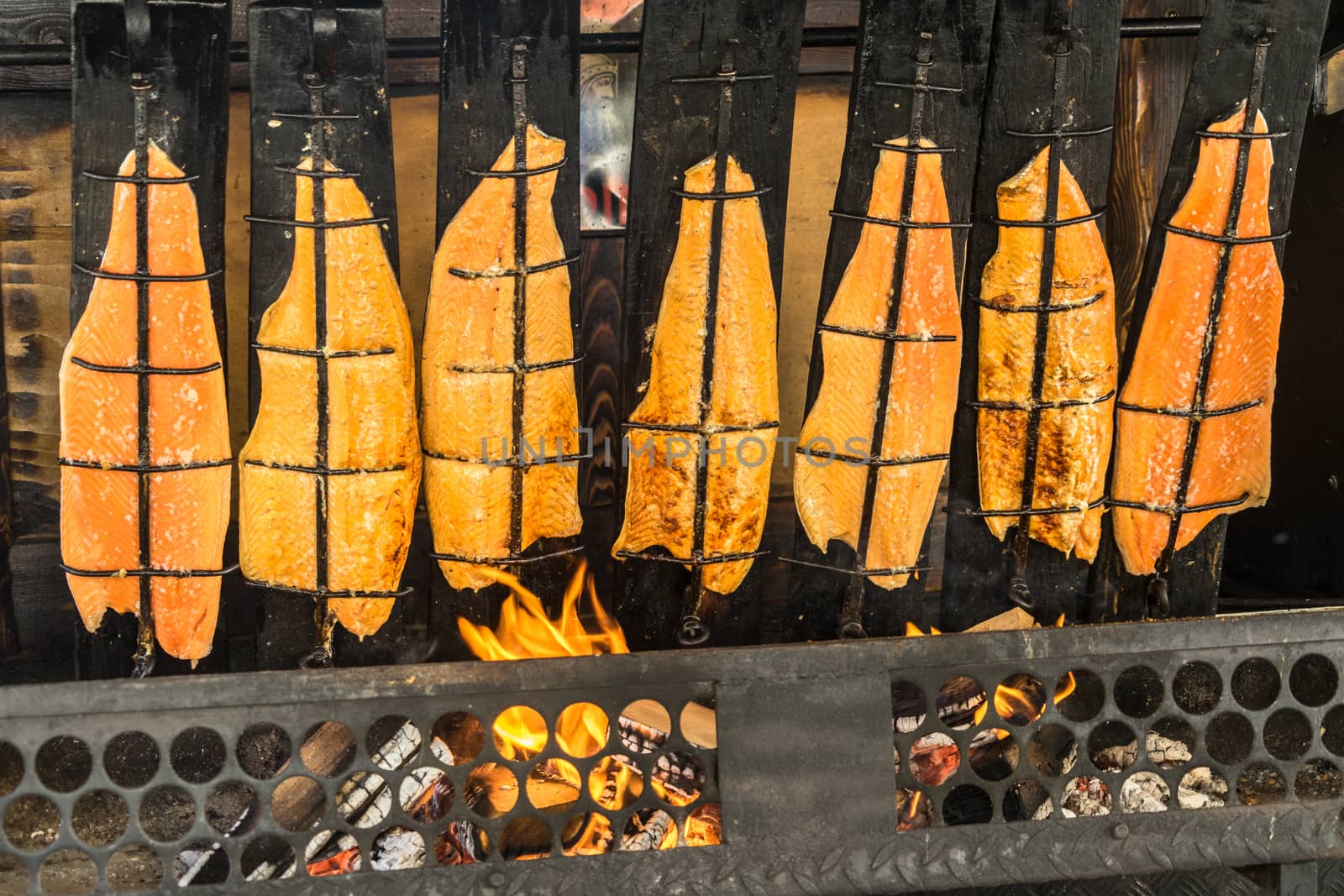 Preparation of flame salmon over the open fire of an open fireplace loaded with wood, Germany