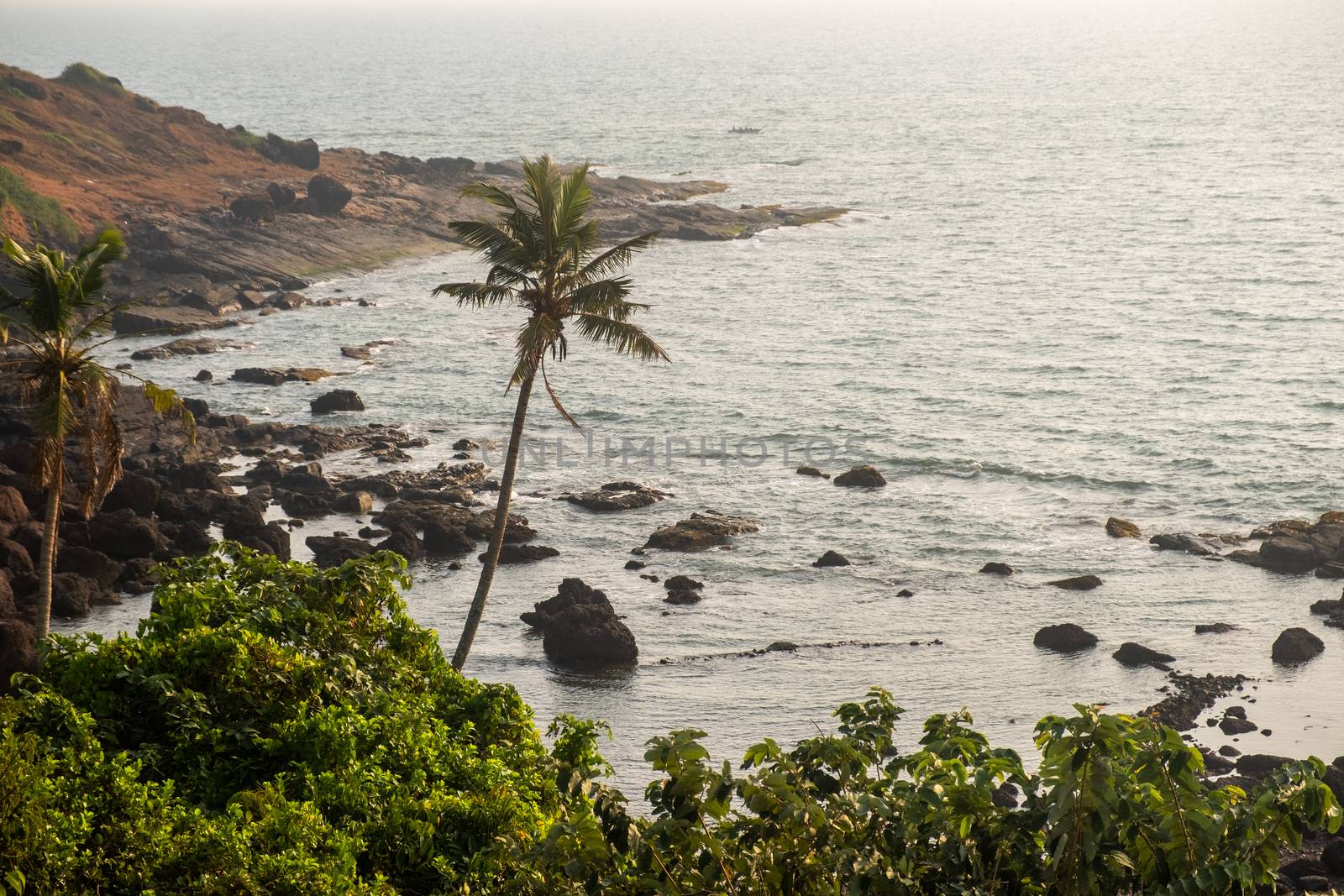 Top View on the coastline of the Northern Goa, India