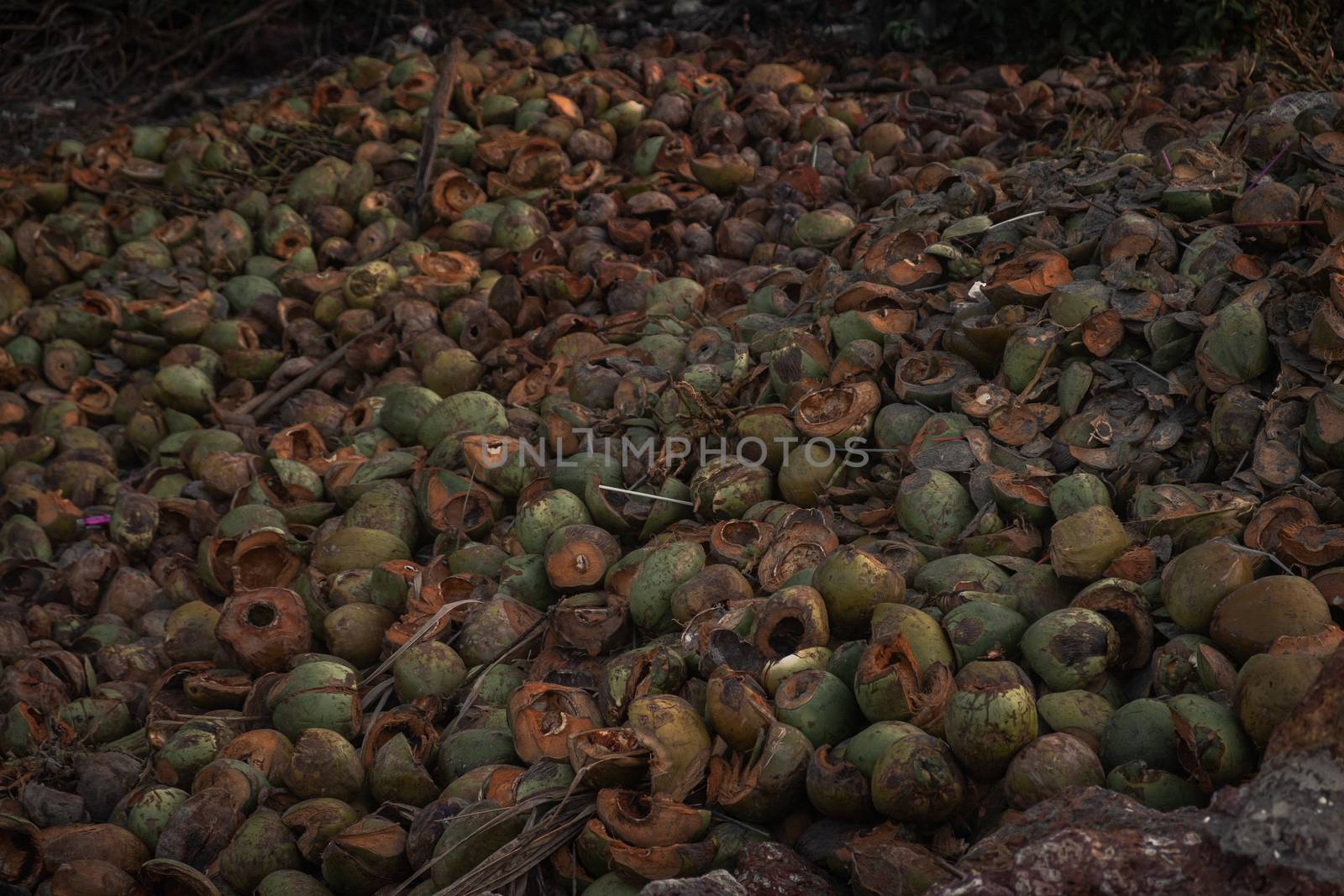 Husks of coconuts, Goa, India