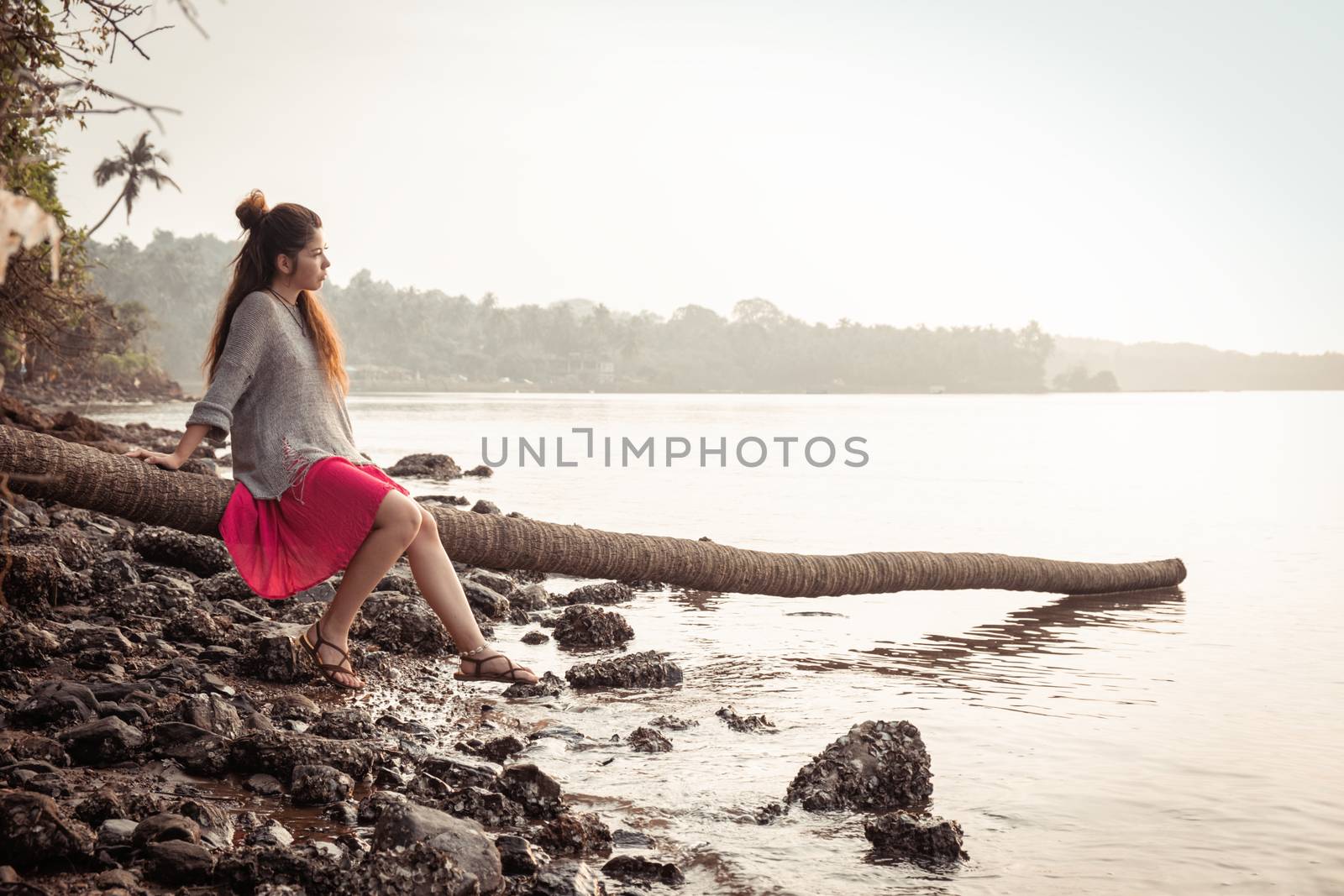 Woman sits on palm tree admiring the sunset by snep_photo