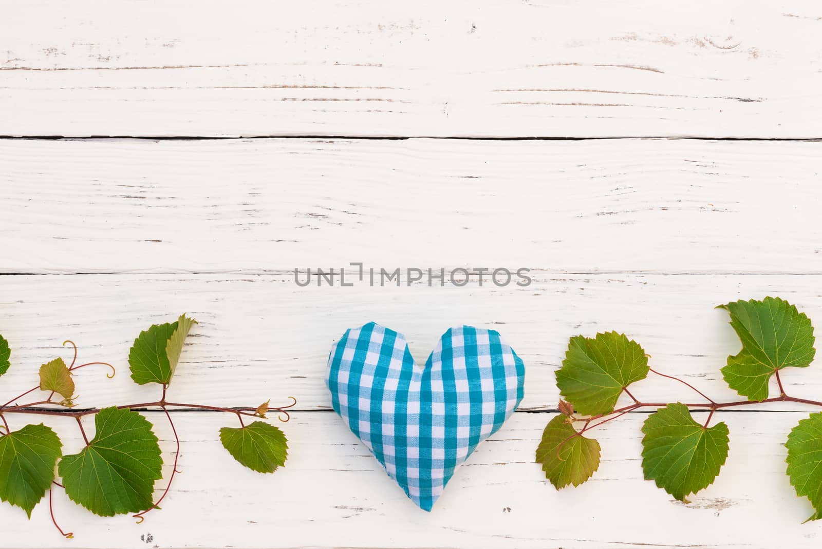 Green vine leaves border on white wood background for wine tasting event celebration 