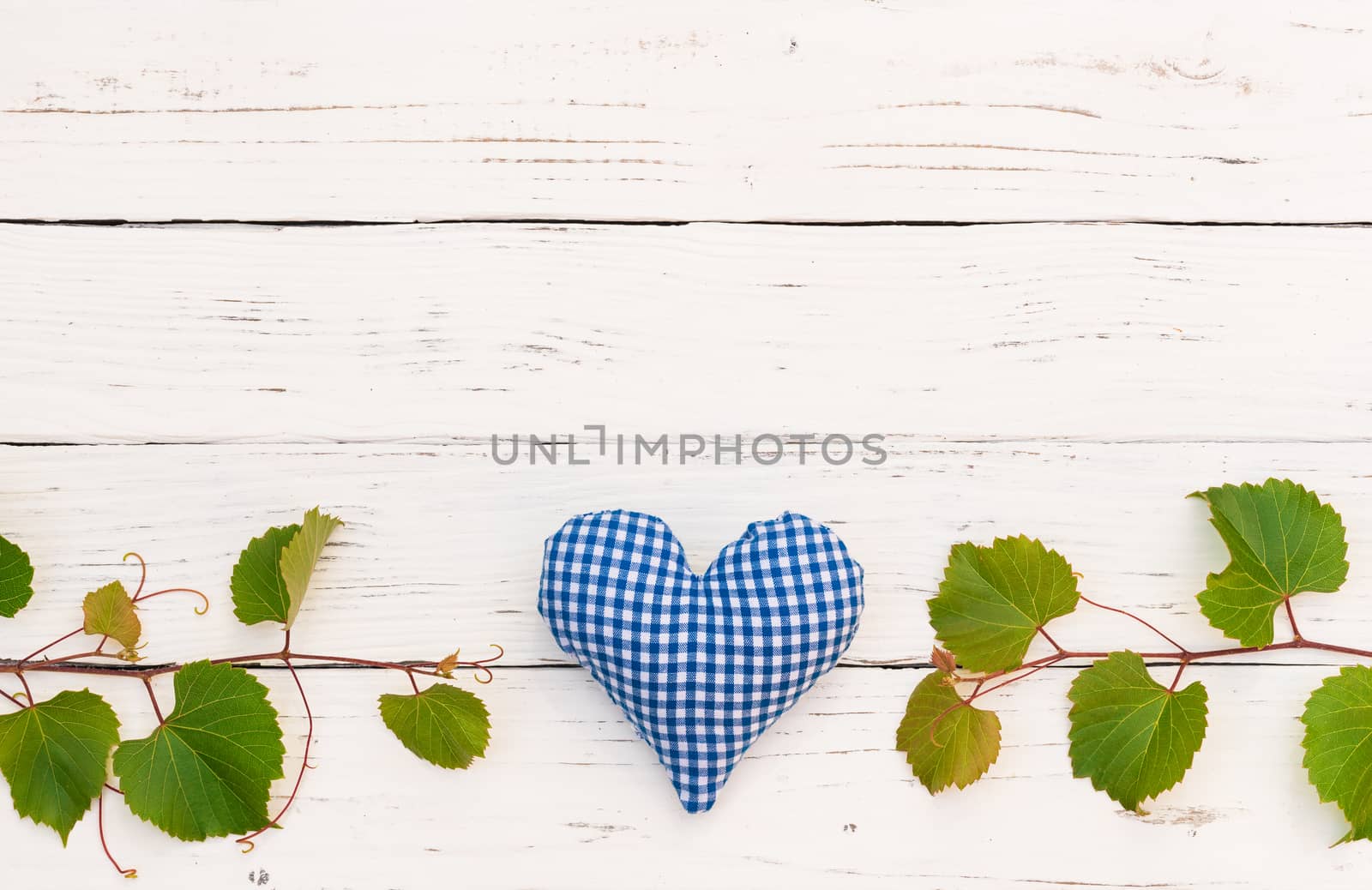 Background with green vine leaves for wine celebration, event or wine tasting