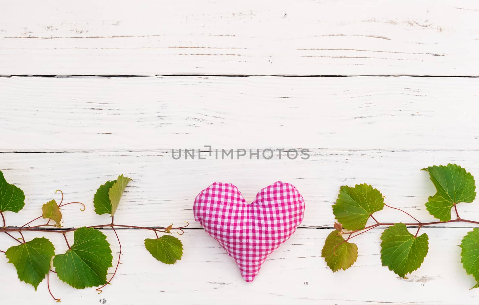 Green vine leaves and sunflower border on white wooden background with copy space