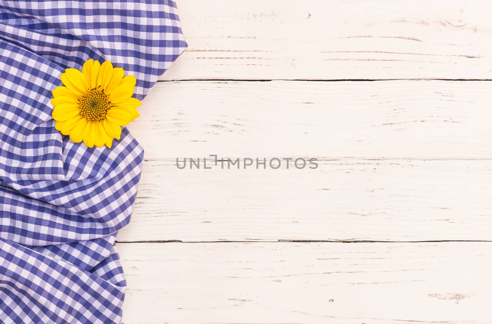 Blue checked tablecloth with blossom on white wooden background with copy space