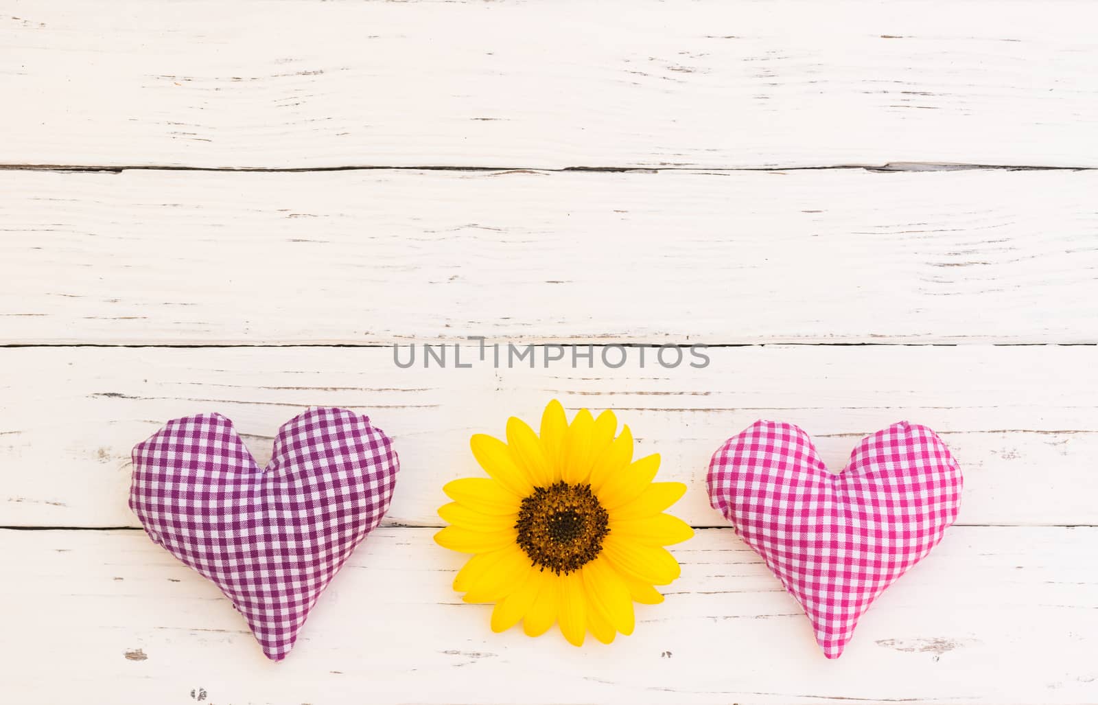 Romantic Valentines day background with pink and purple heart and yellow blossom