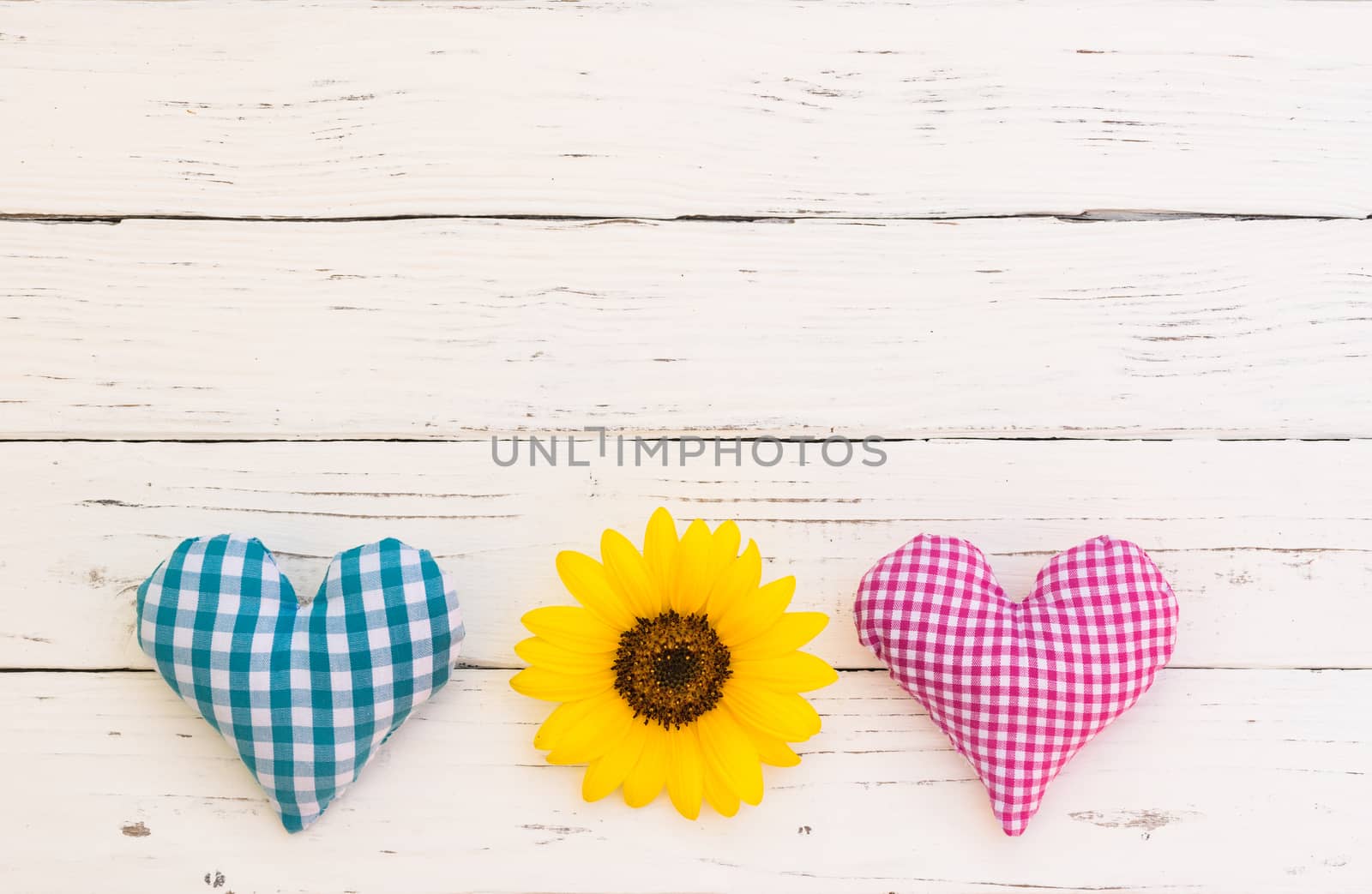 Blue and pink heart and yellow flower for romantic Valentine day background with copy space