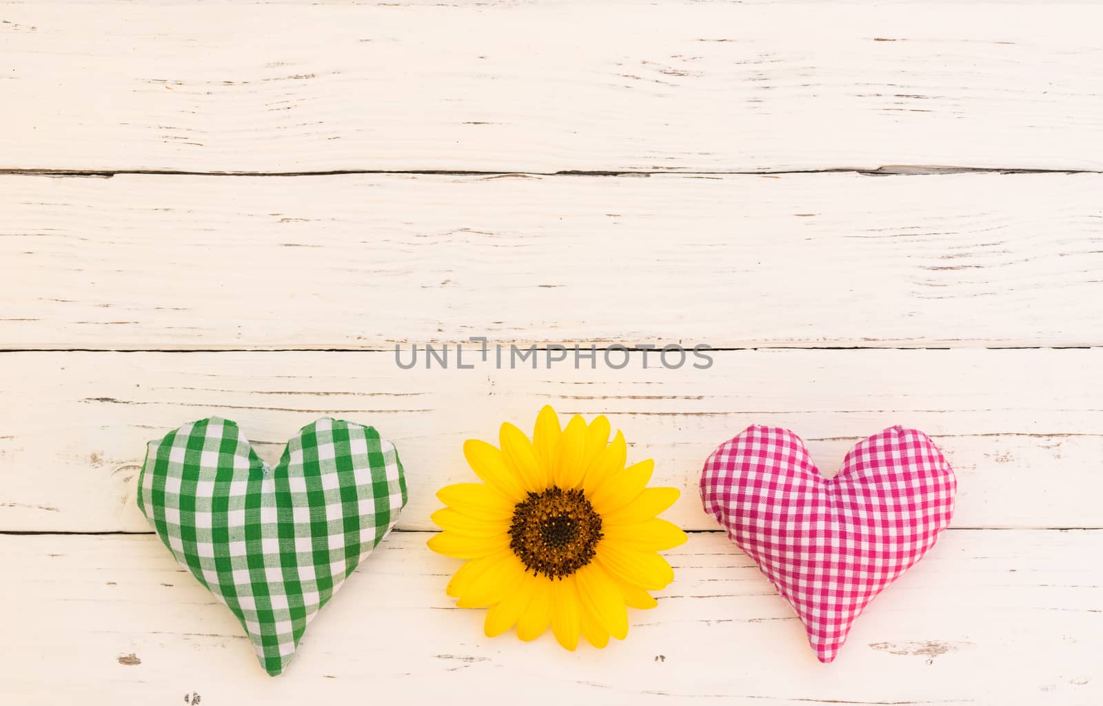 Rustic hearts with yellow blossom on white background with copy space