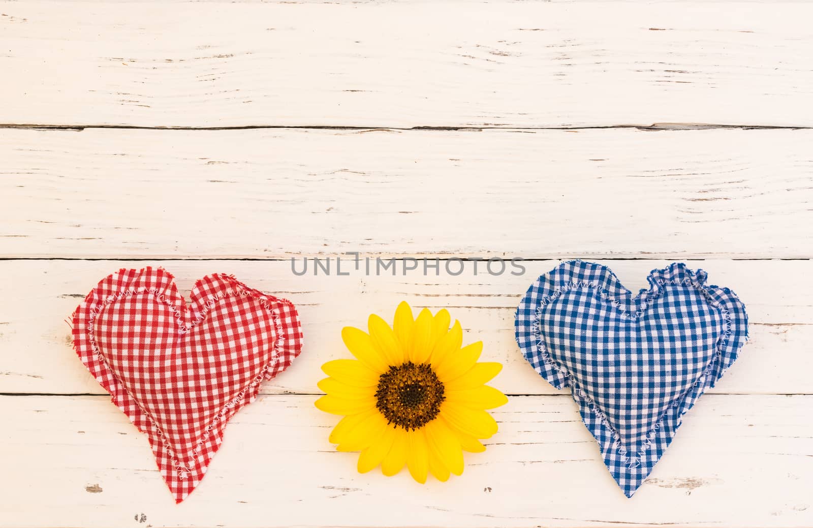 Romantic red and blue heart with blossom on white wood background with copy space