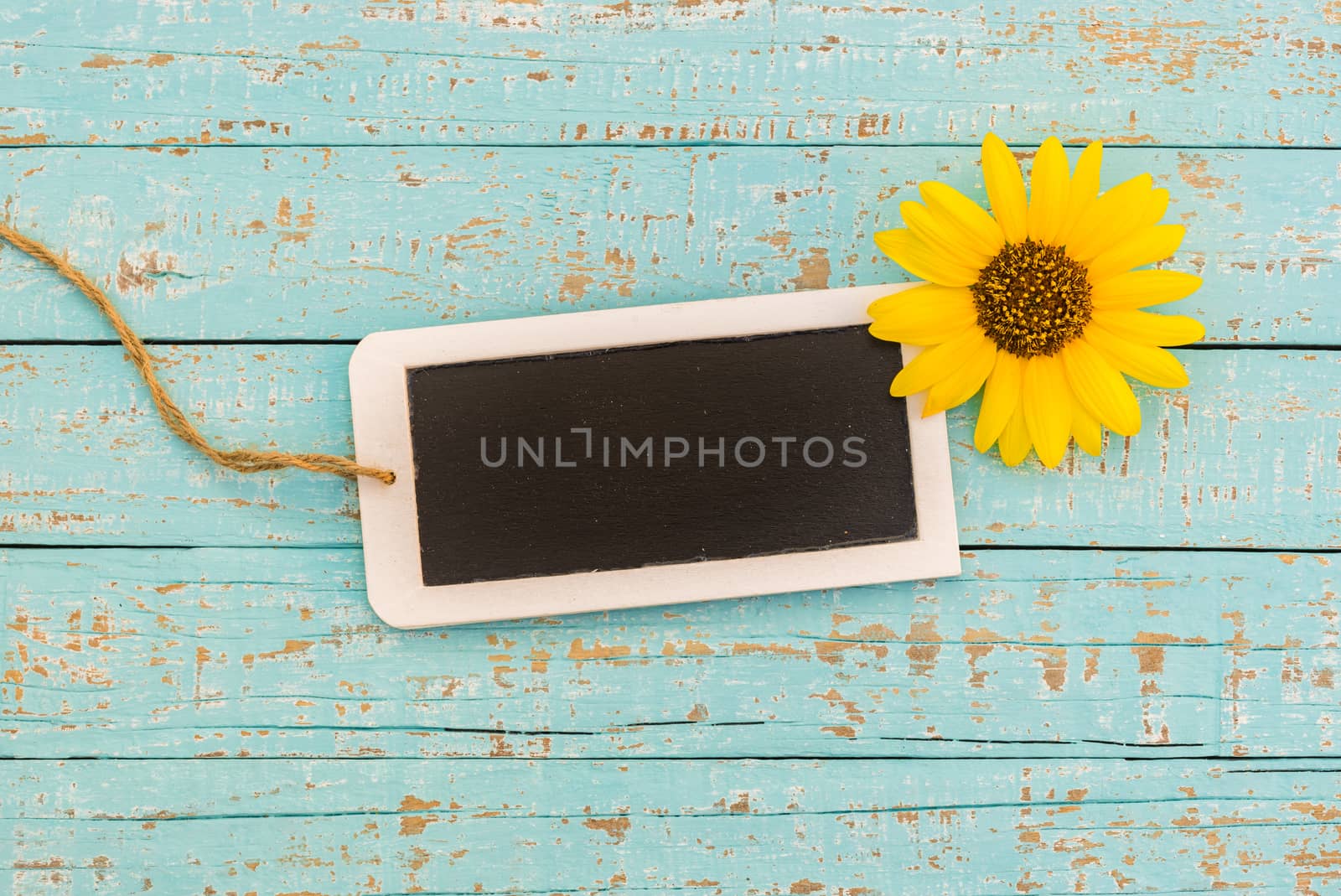 Yellow flower with small empty blackboard on blue wood background
