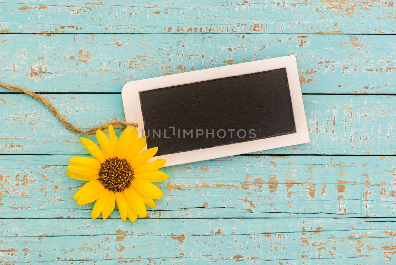 Small empty blackboard with yellow flower on blue wooden background