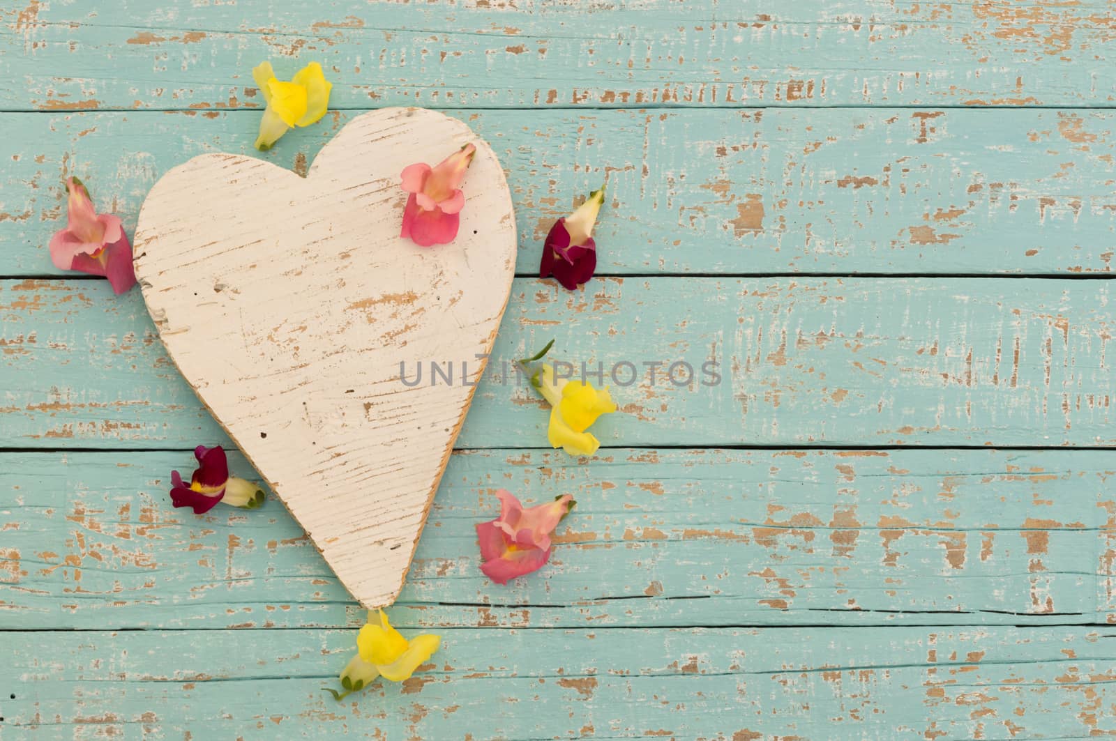 Romantic white heart with beautiful flowers frame on turquoise wood background with copy space