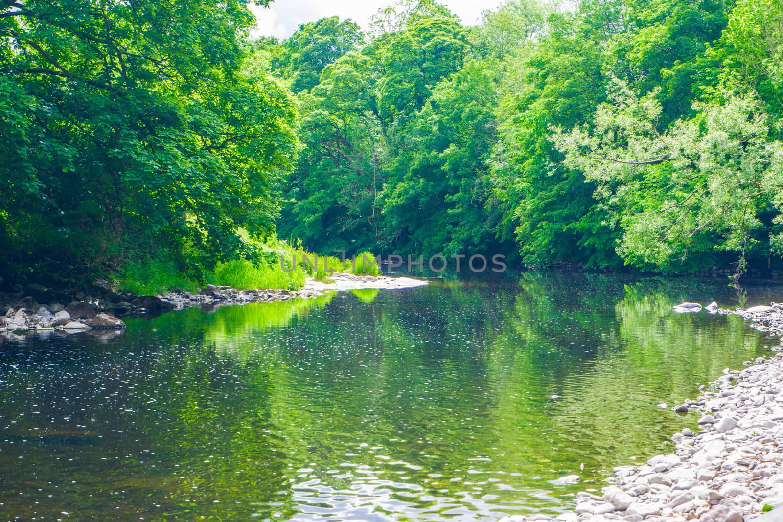 River Kent running over the rocks and pebbles with tree lined banks by paddythegolfer