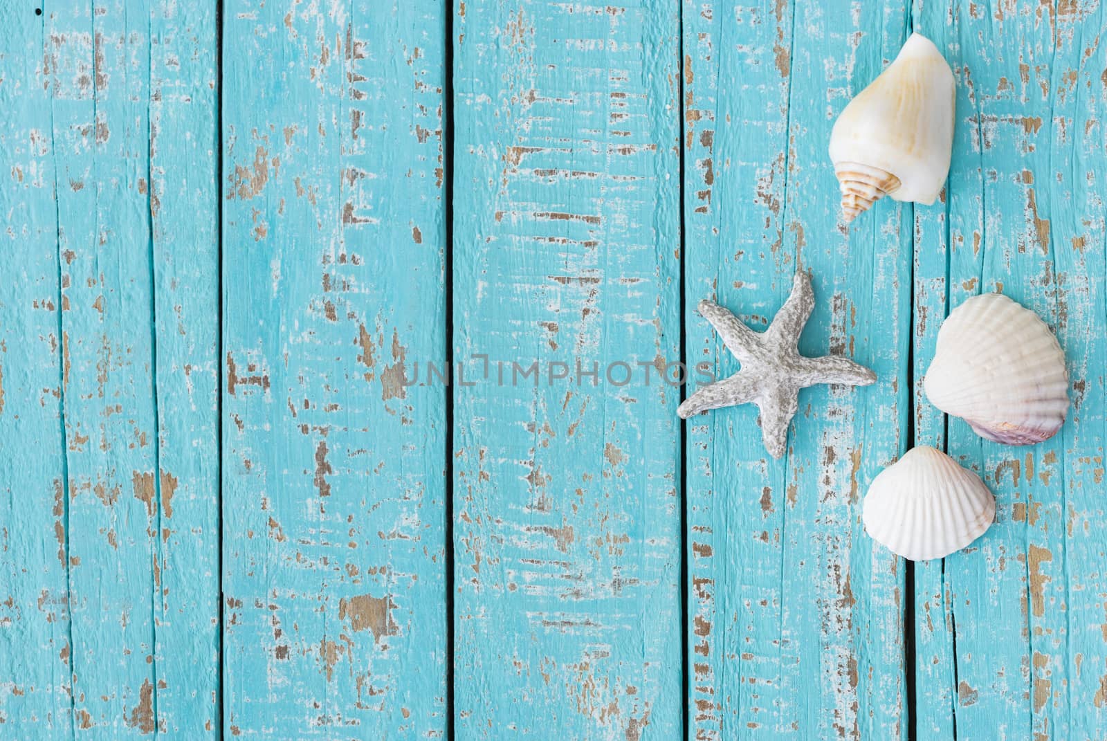 Summer beach holiday travel background turquoise wood with seashells and star fish decoration
