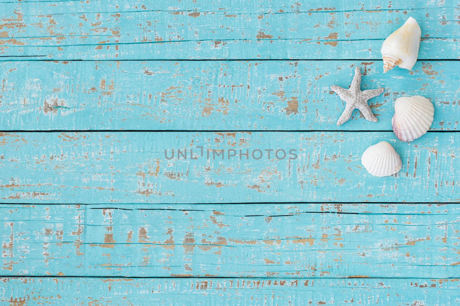 Star fish and Seashells on blue wood background with copy space
