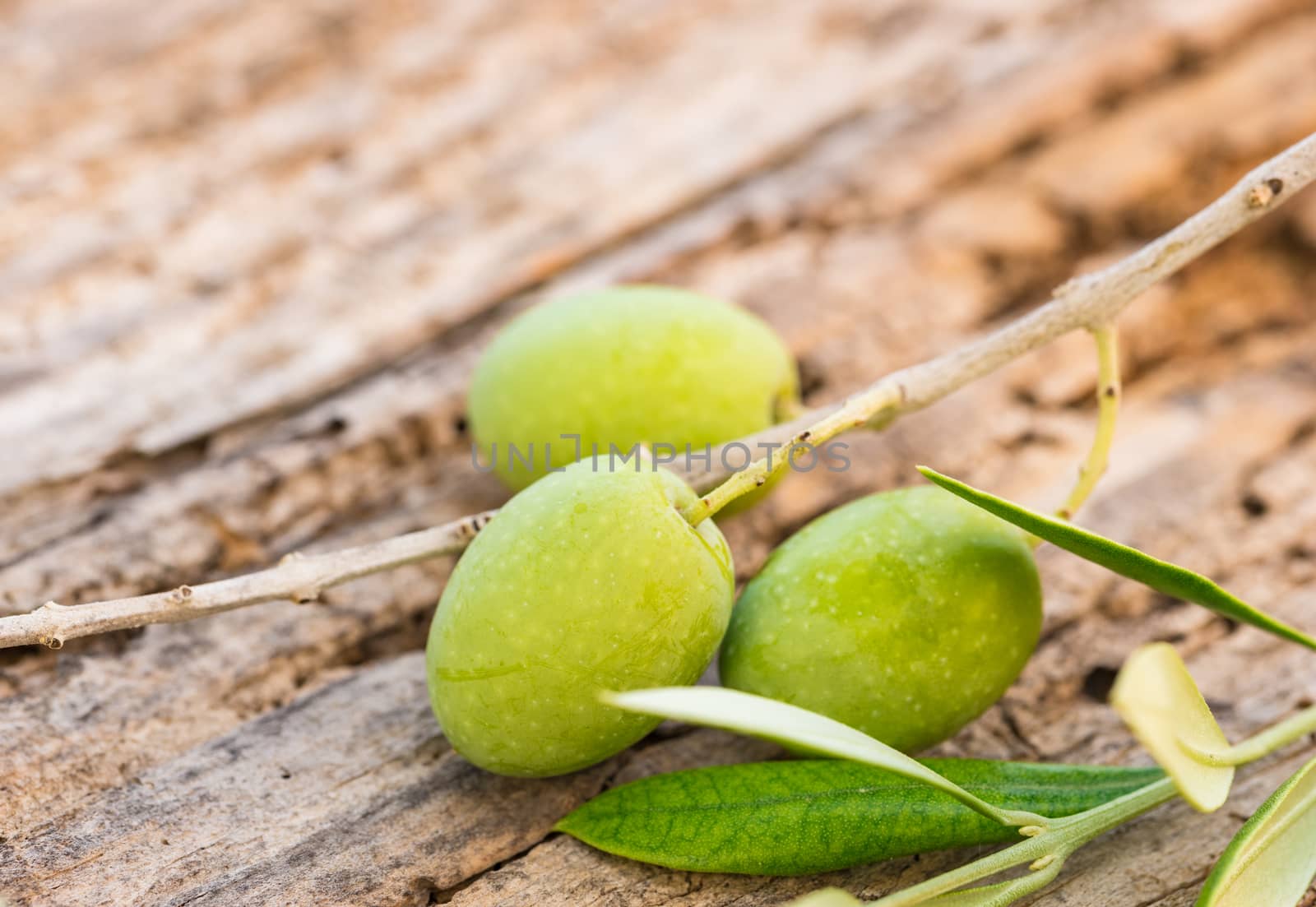 Green olive fruits, close-up, on rustic wooden background