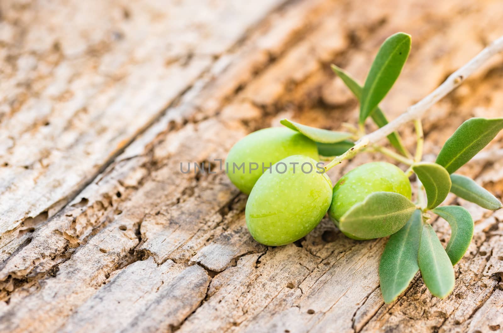 Close-up of green olives fruits with leaves on rustic old wooden table background